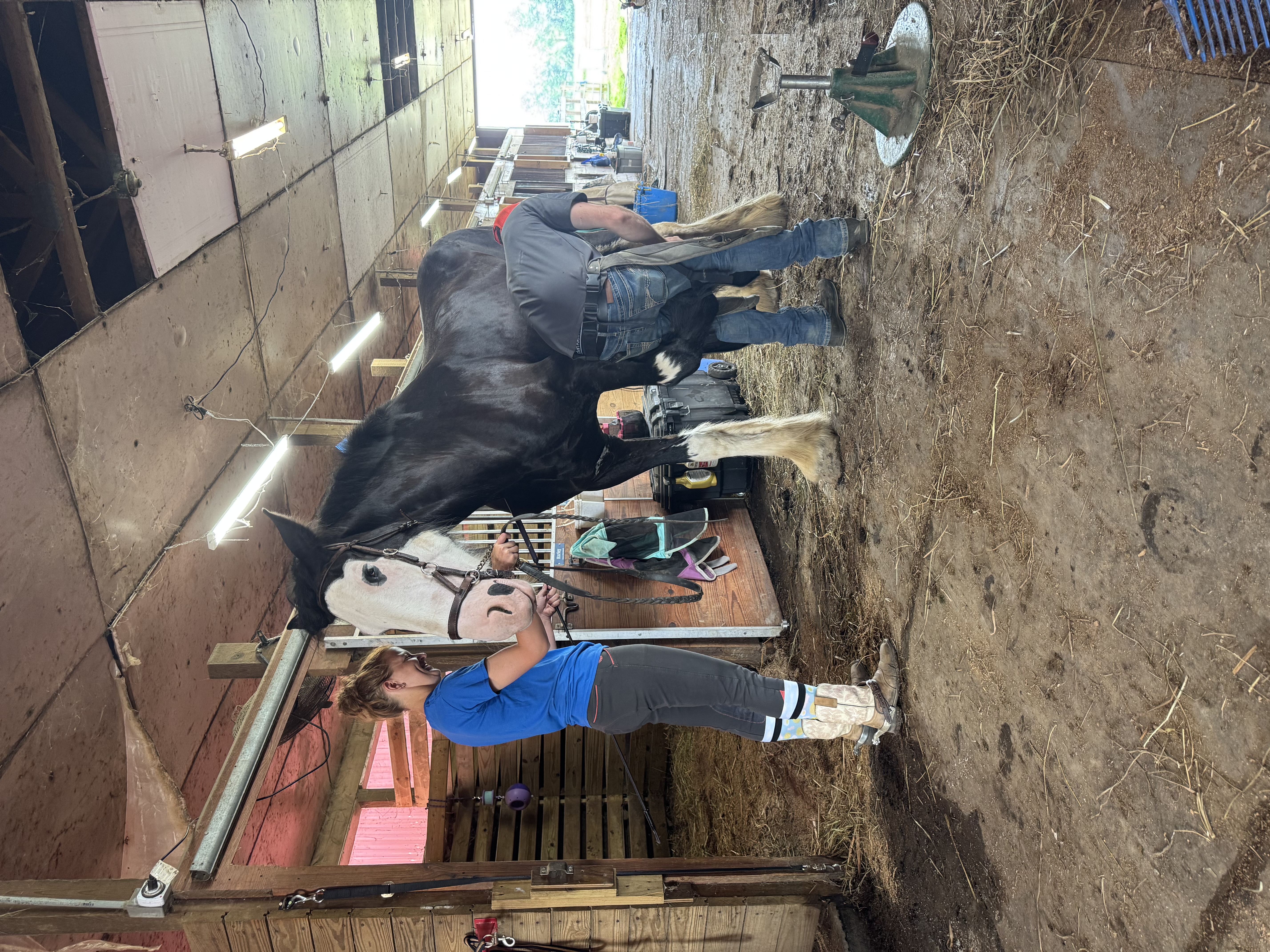 Farrier comes every 6 weeks or as needed