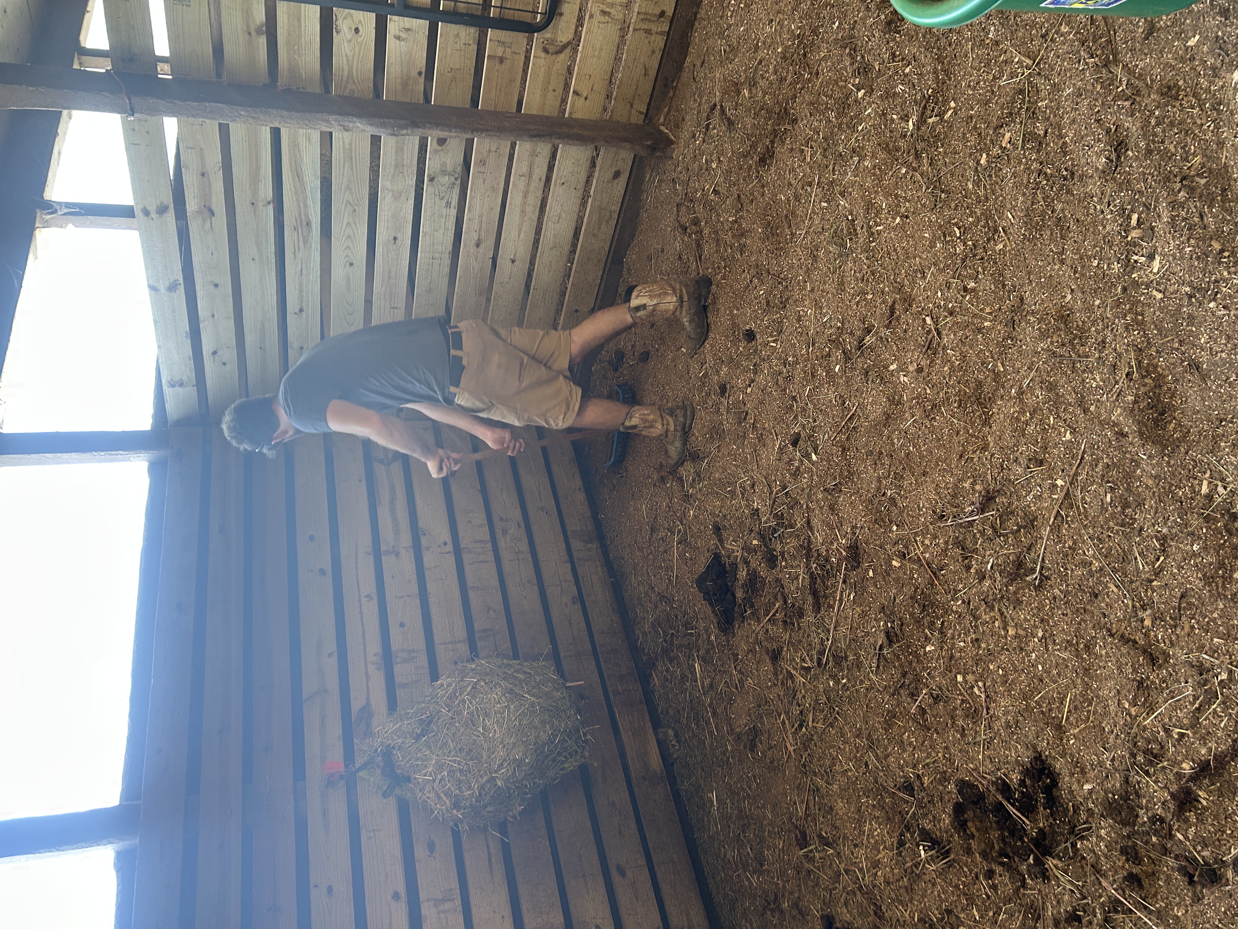 All stalls are 12x12 cleaned daily