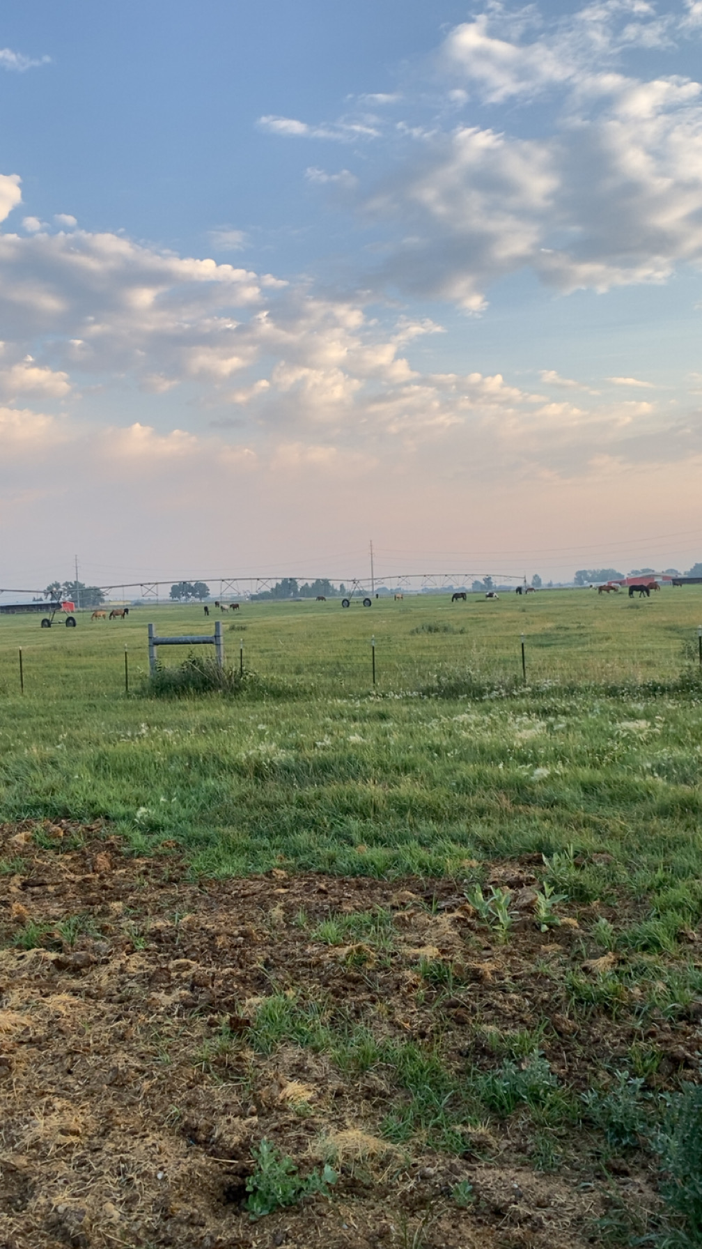Pasture Boarding