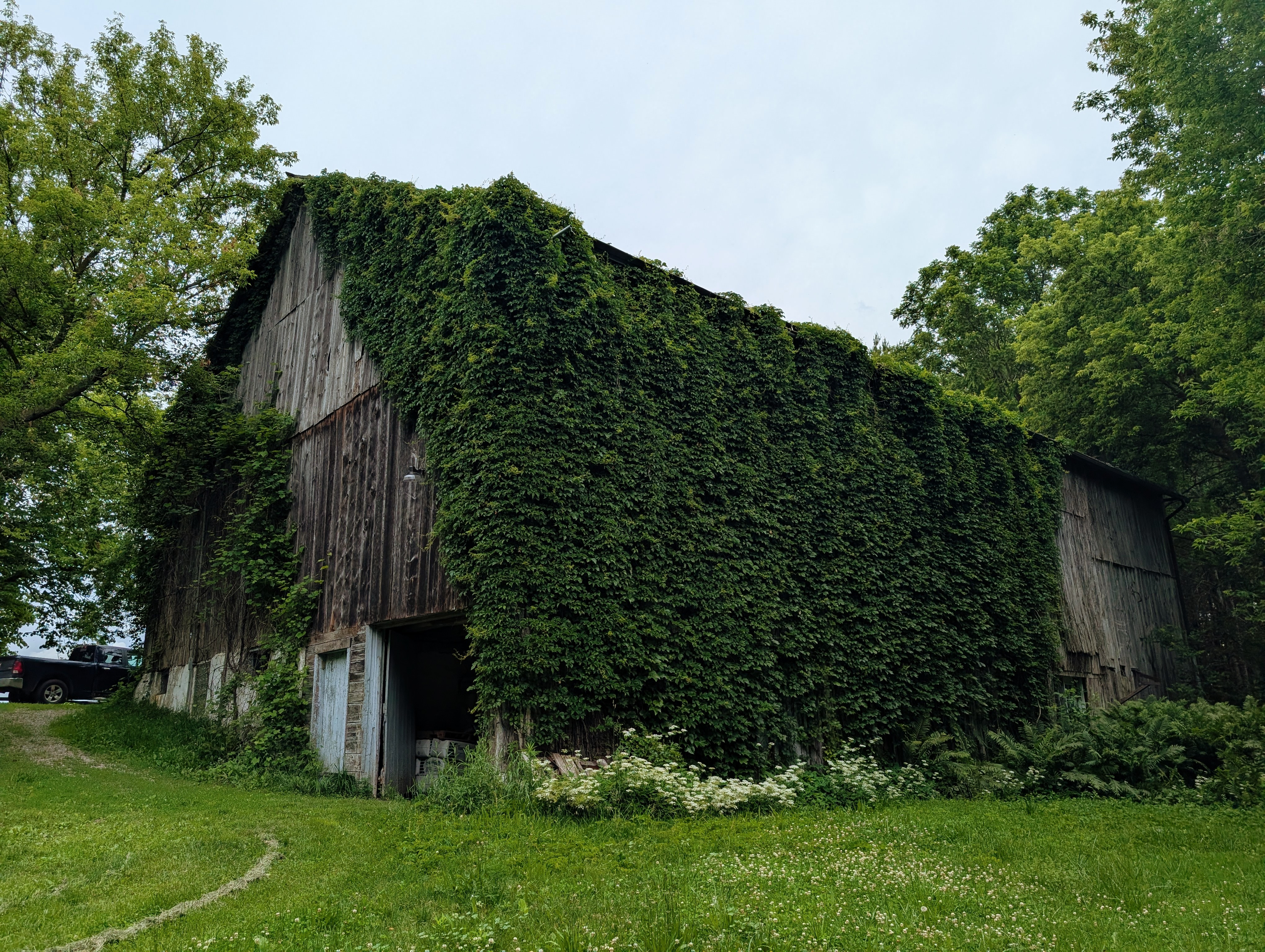 Bank barn
