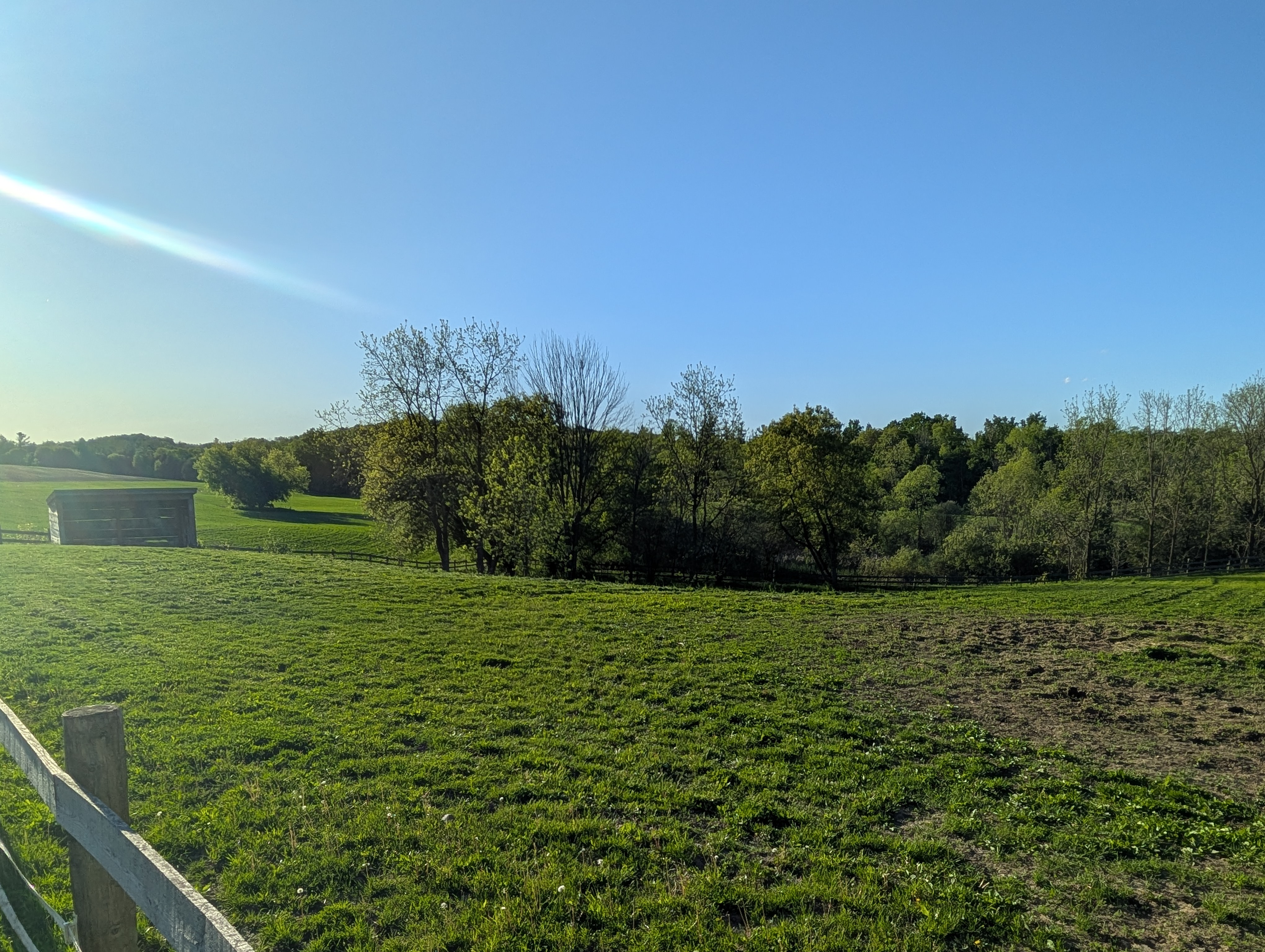 Paddock