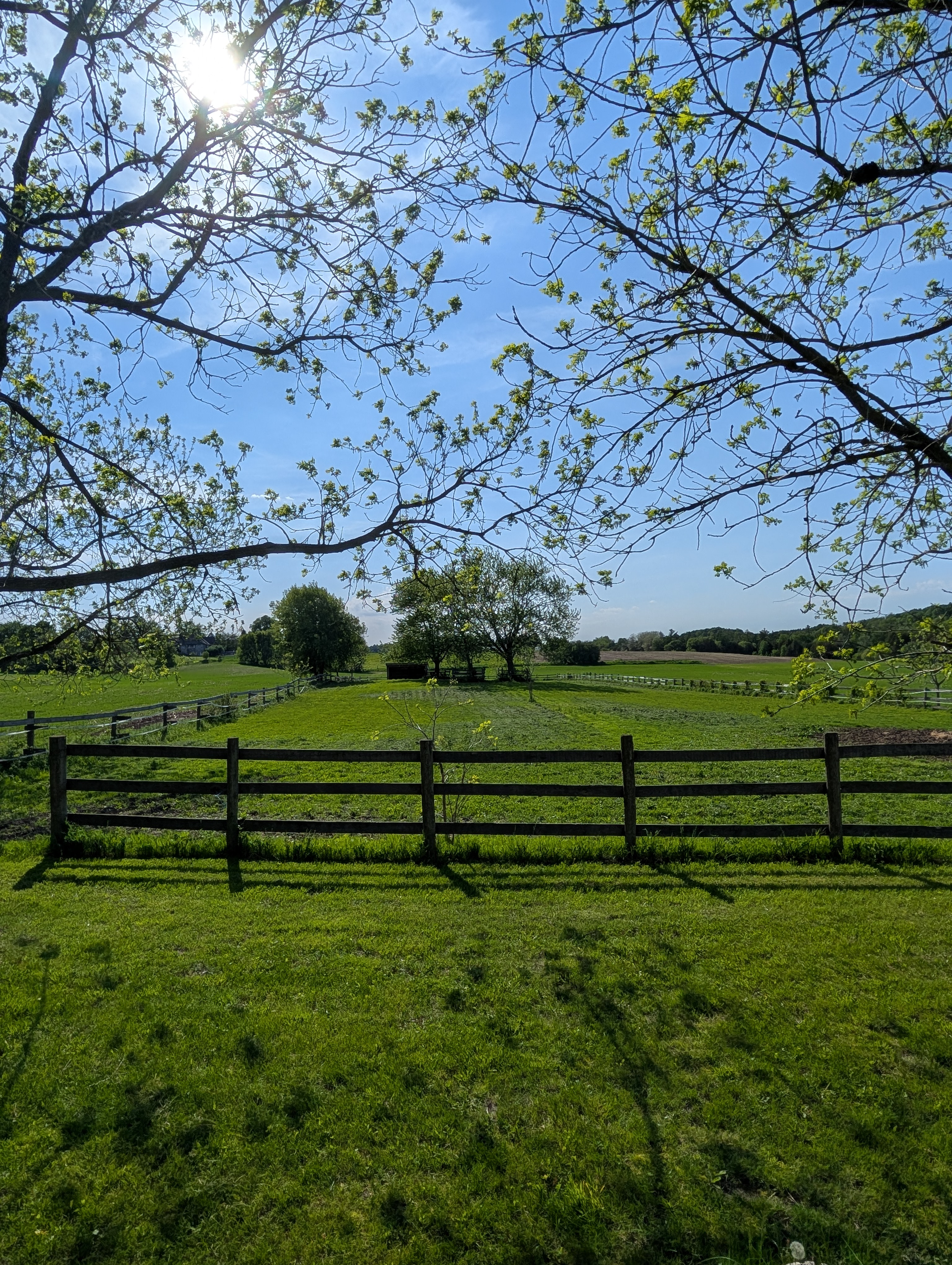 Paddock