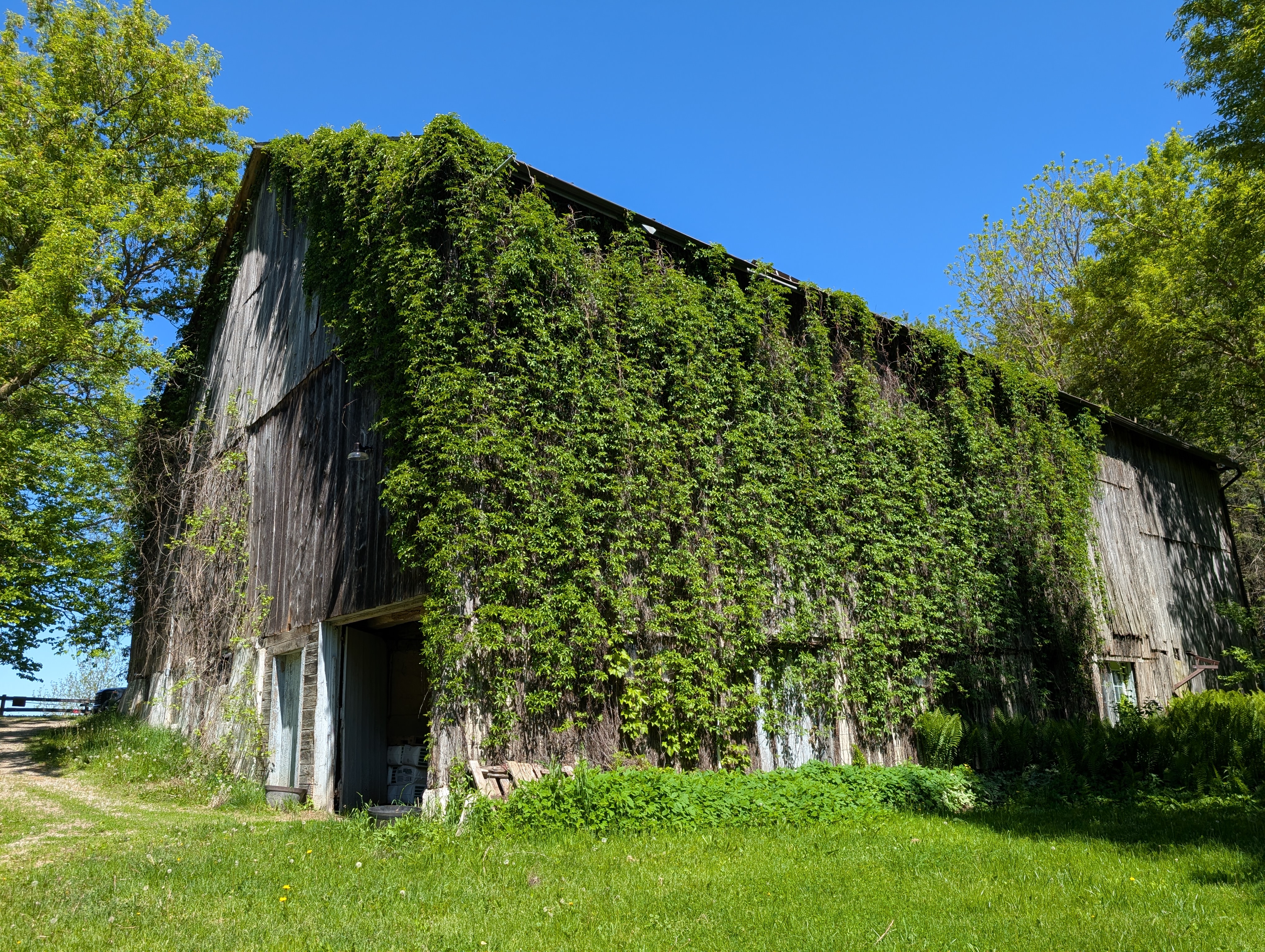Bank barn