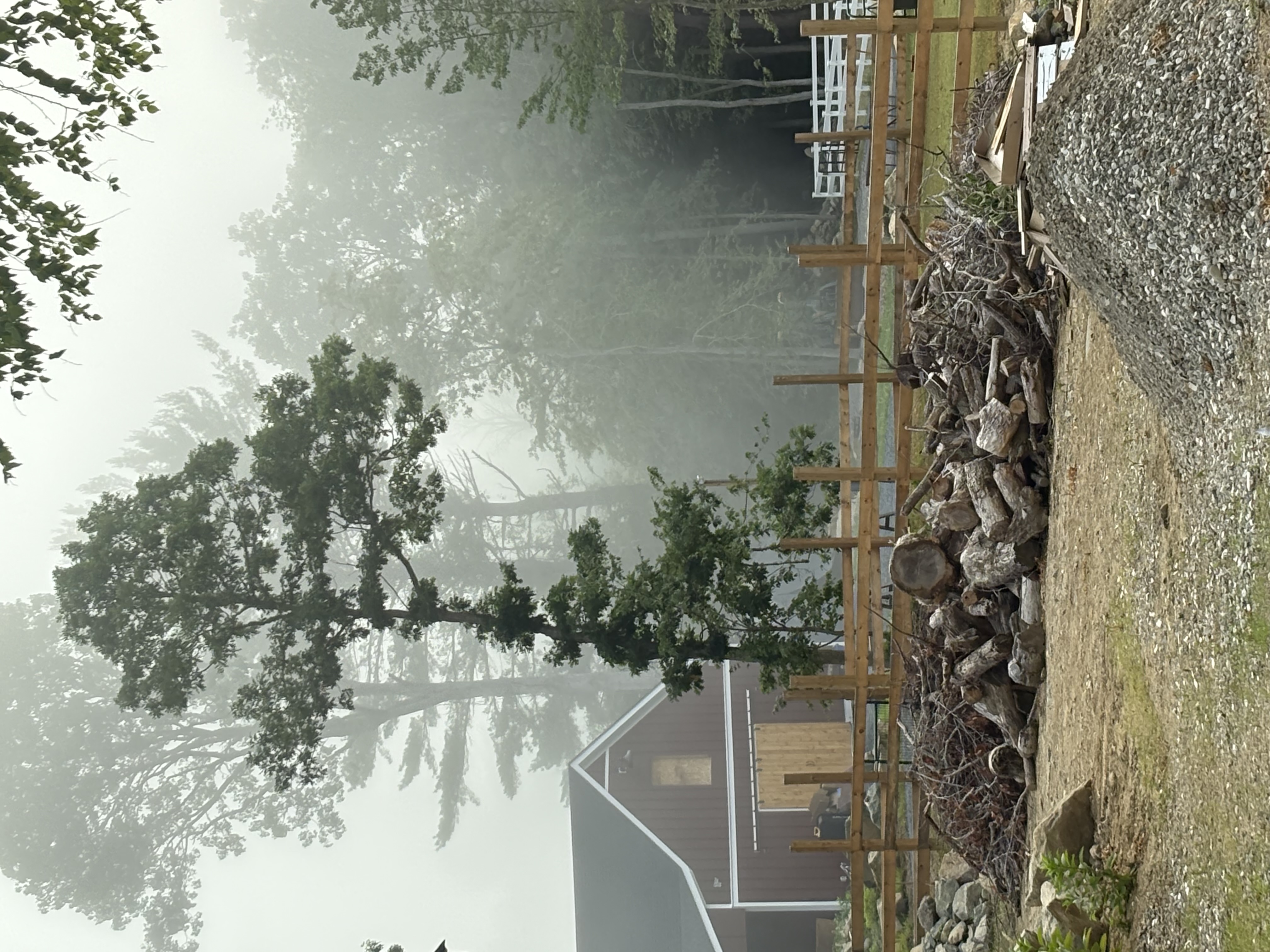 Morning fog
