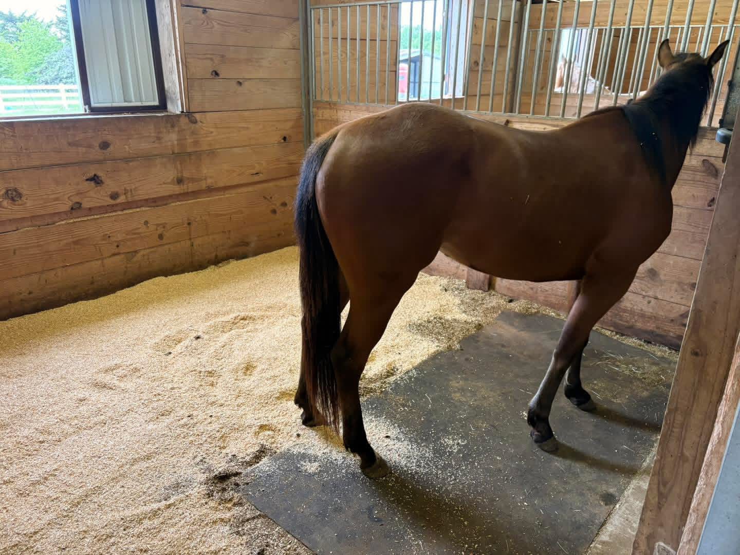 12x14 stalls cleaned daily
