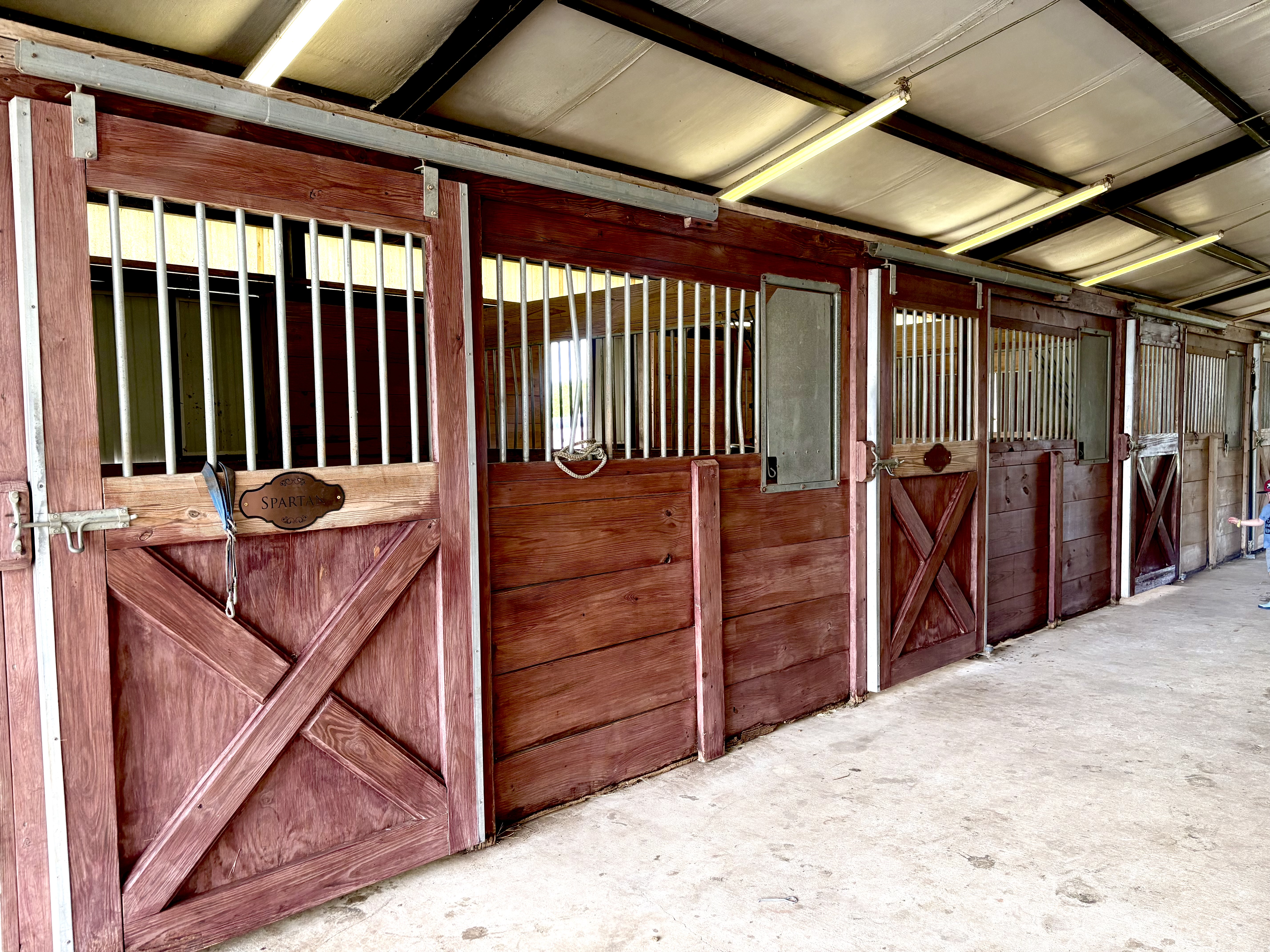 9 -12x14 stalls in insulated barn