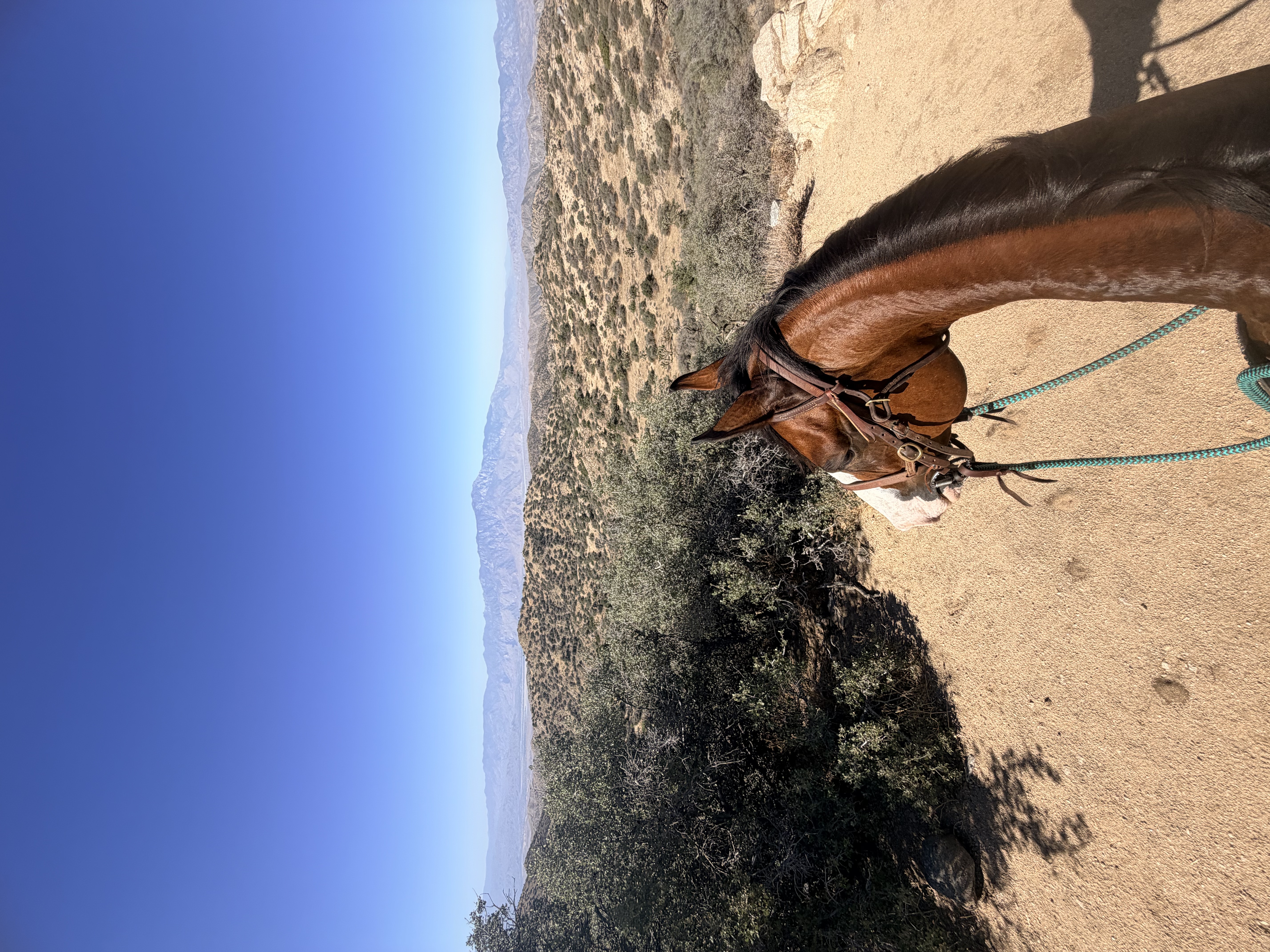 On a trail ride!