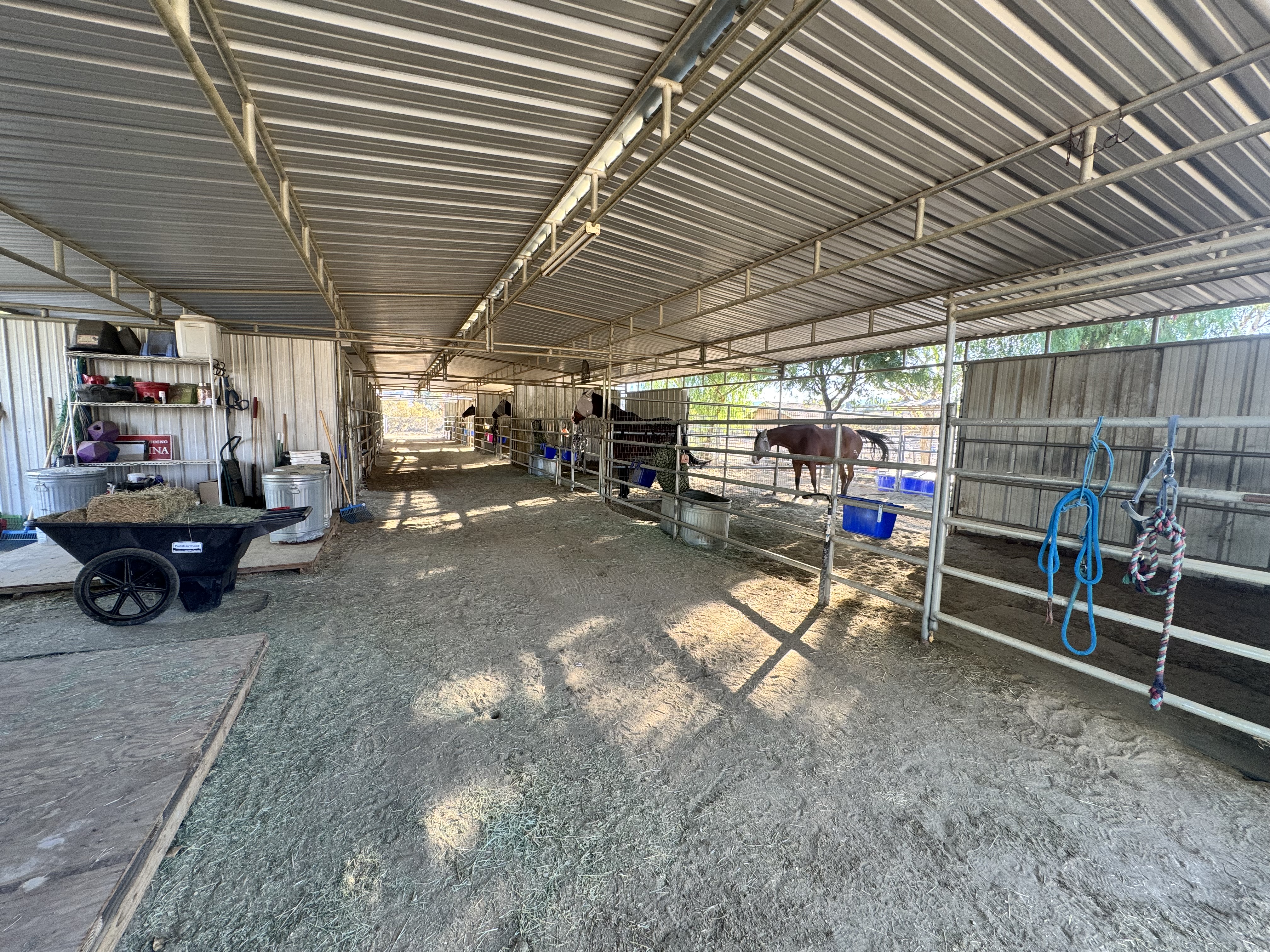 Inside the barn