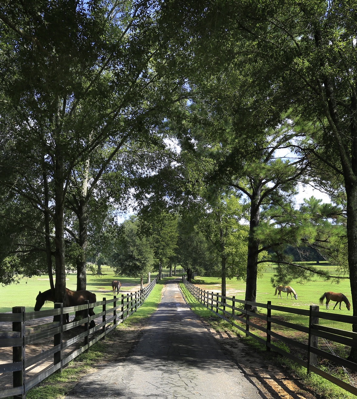 Driveway