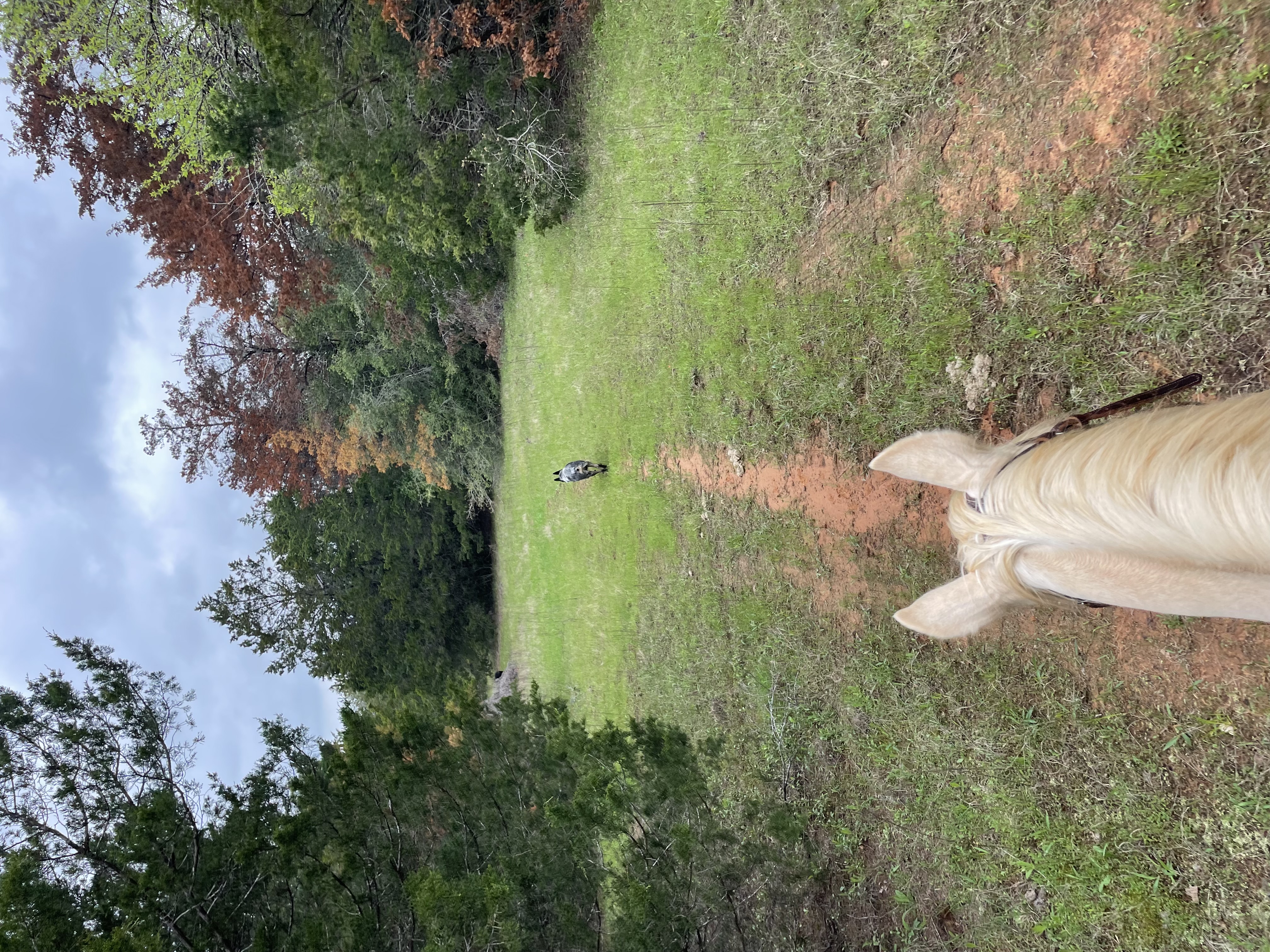 Trails on site