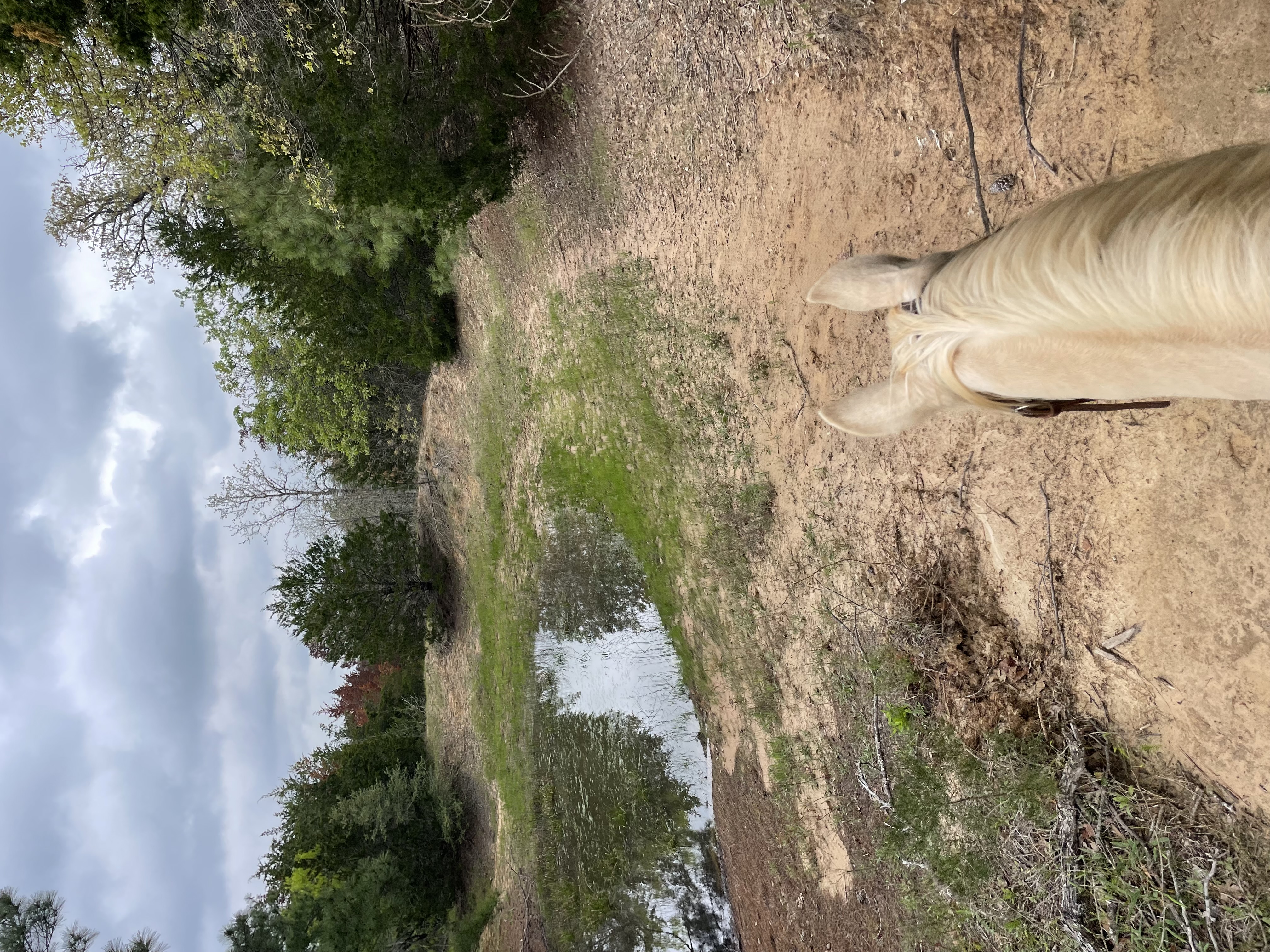 Trails on site