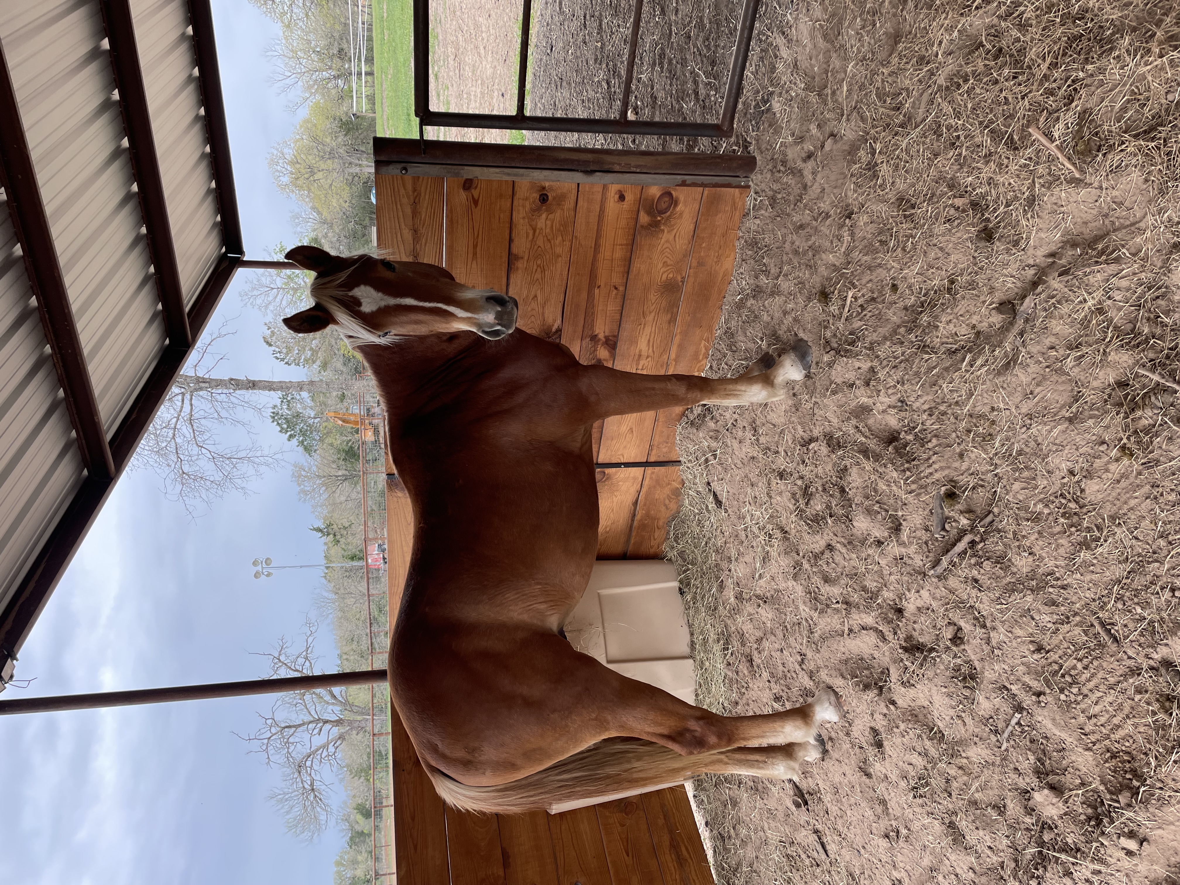 Stall with Run