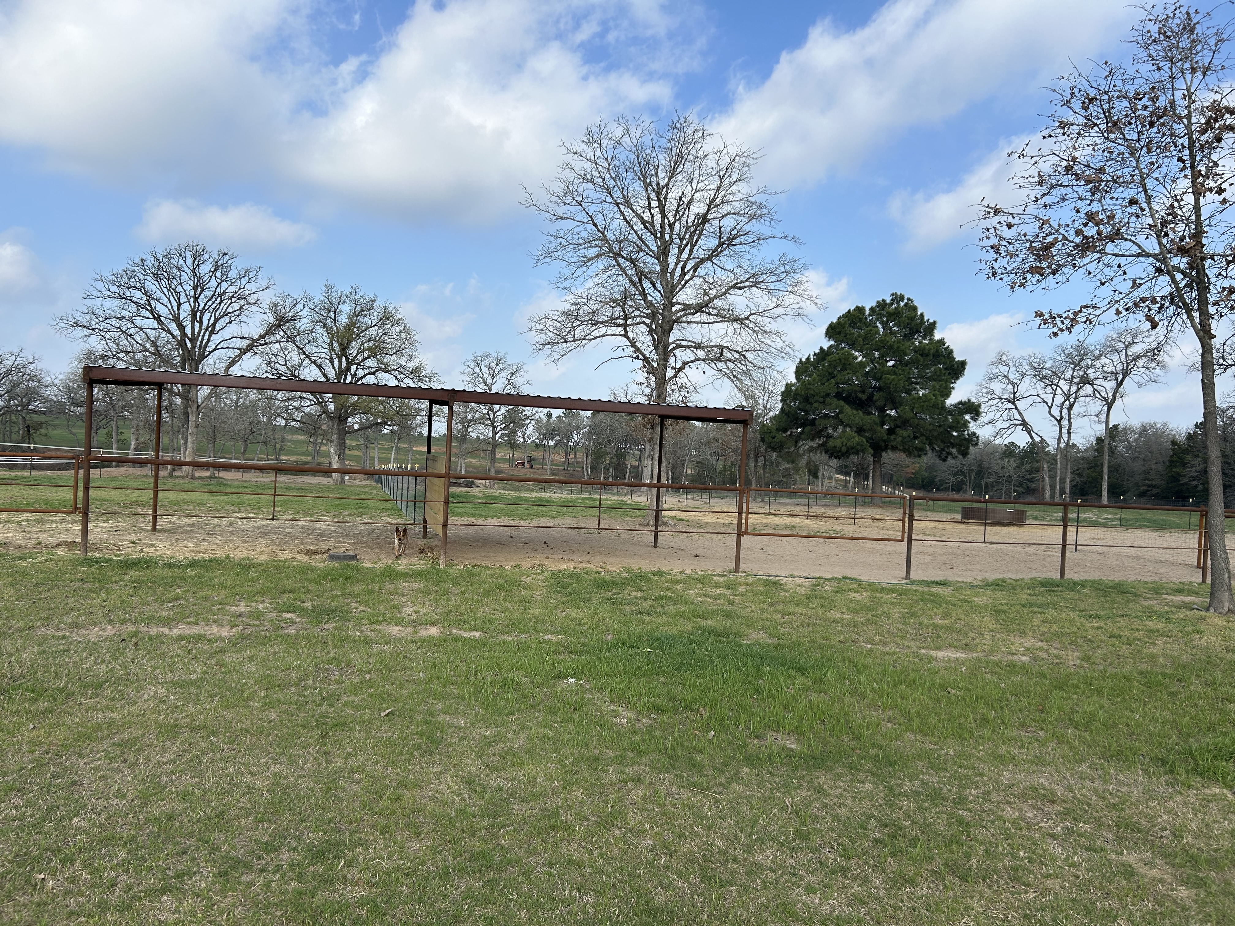 Paddocks