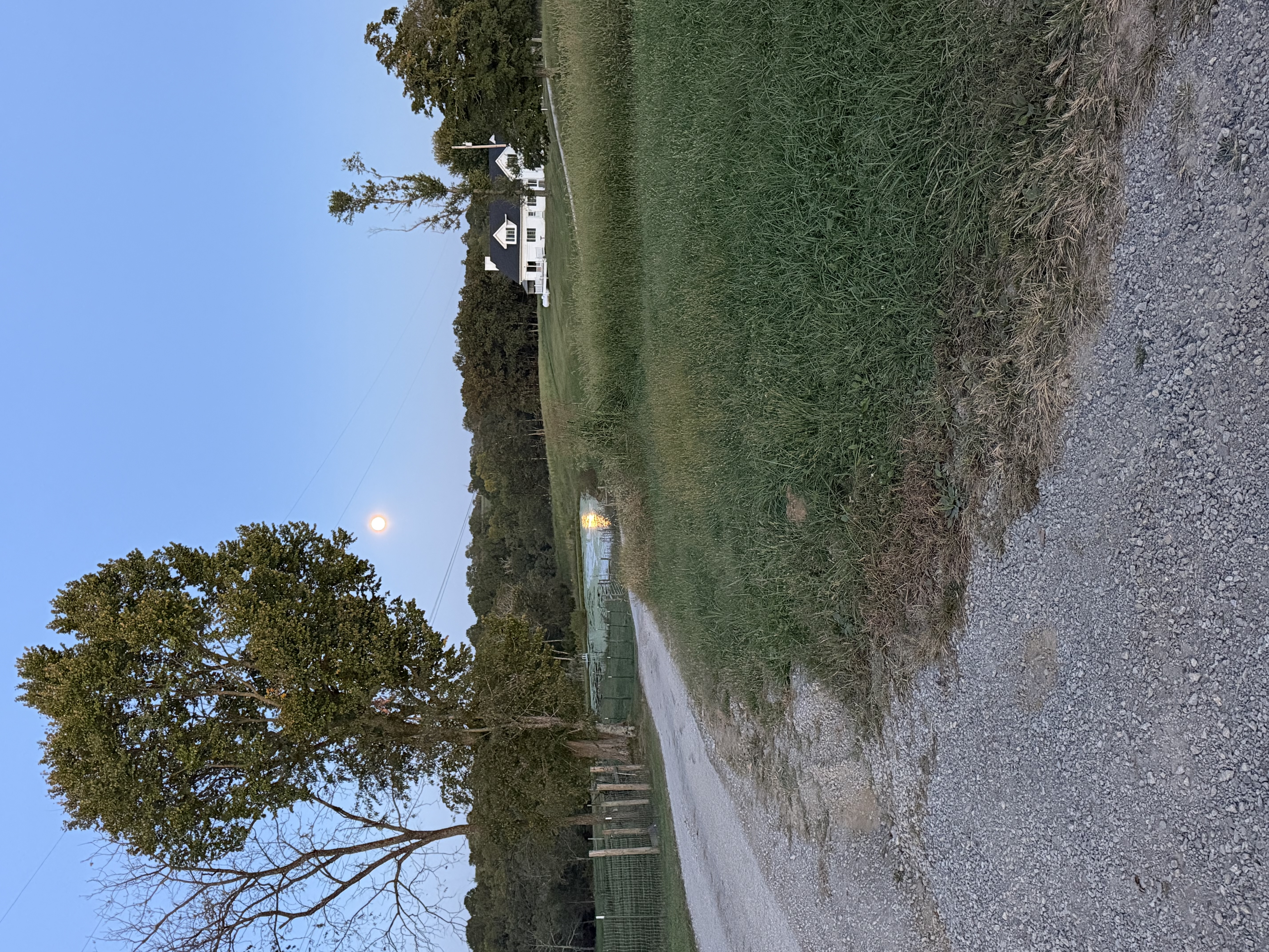 Farm