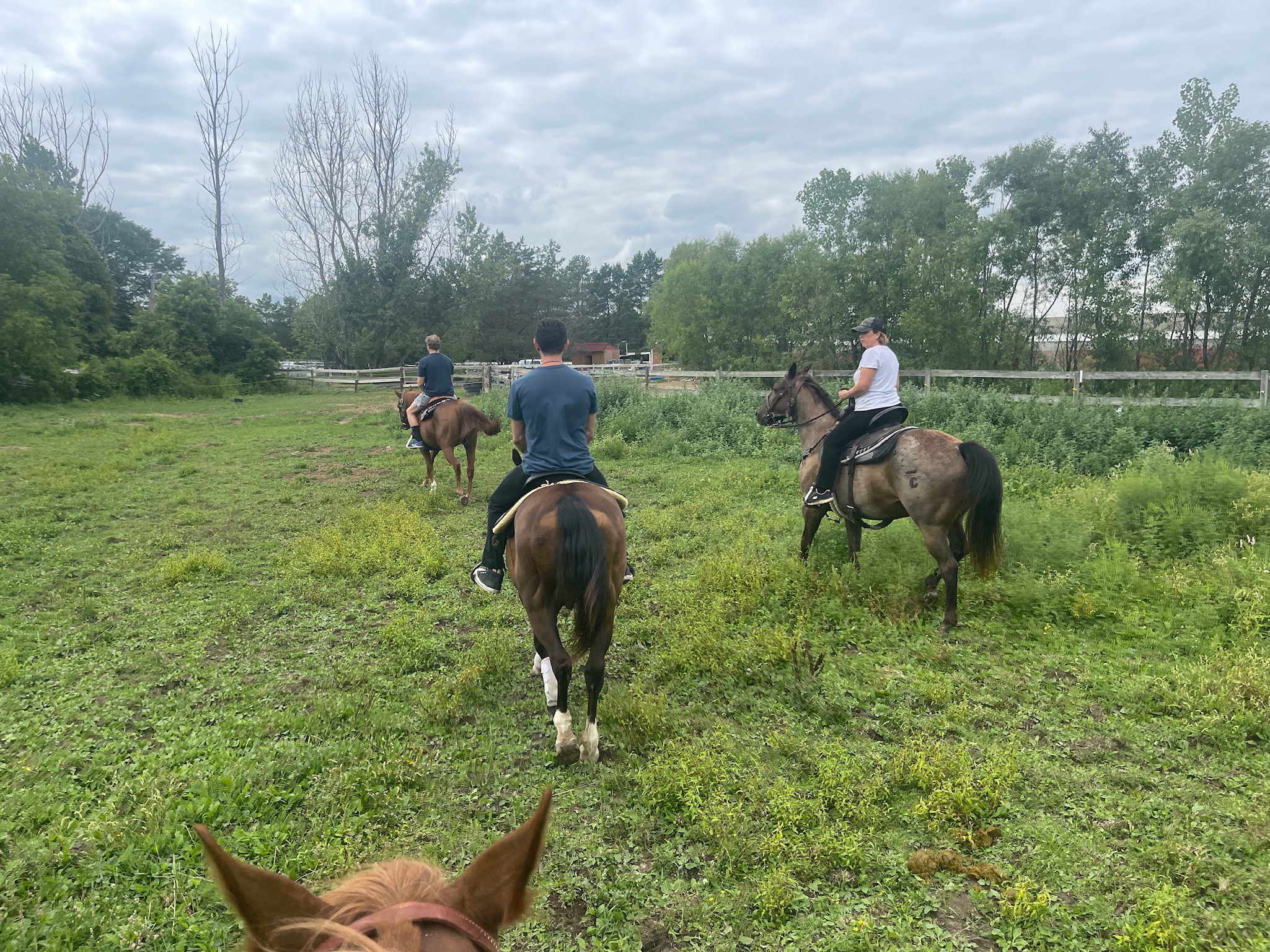 Outdoor riding area around the pond