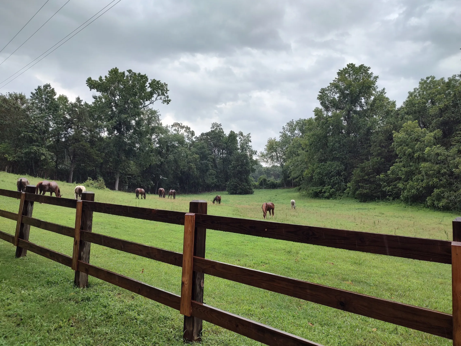 Top Pasture/Cross Country