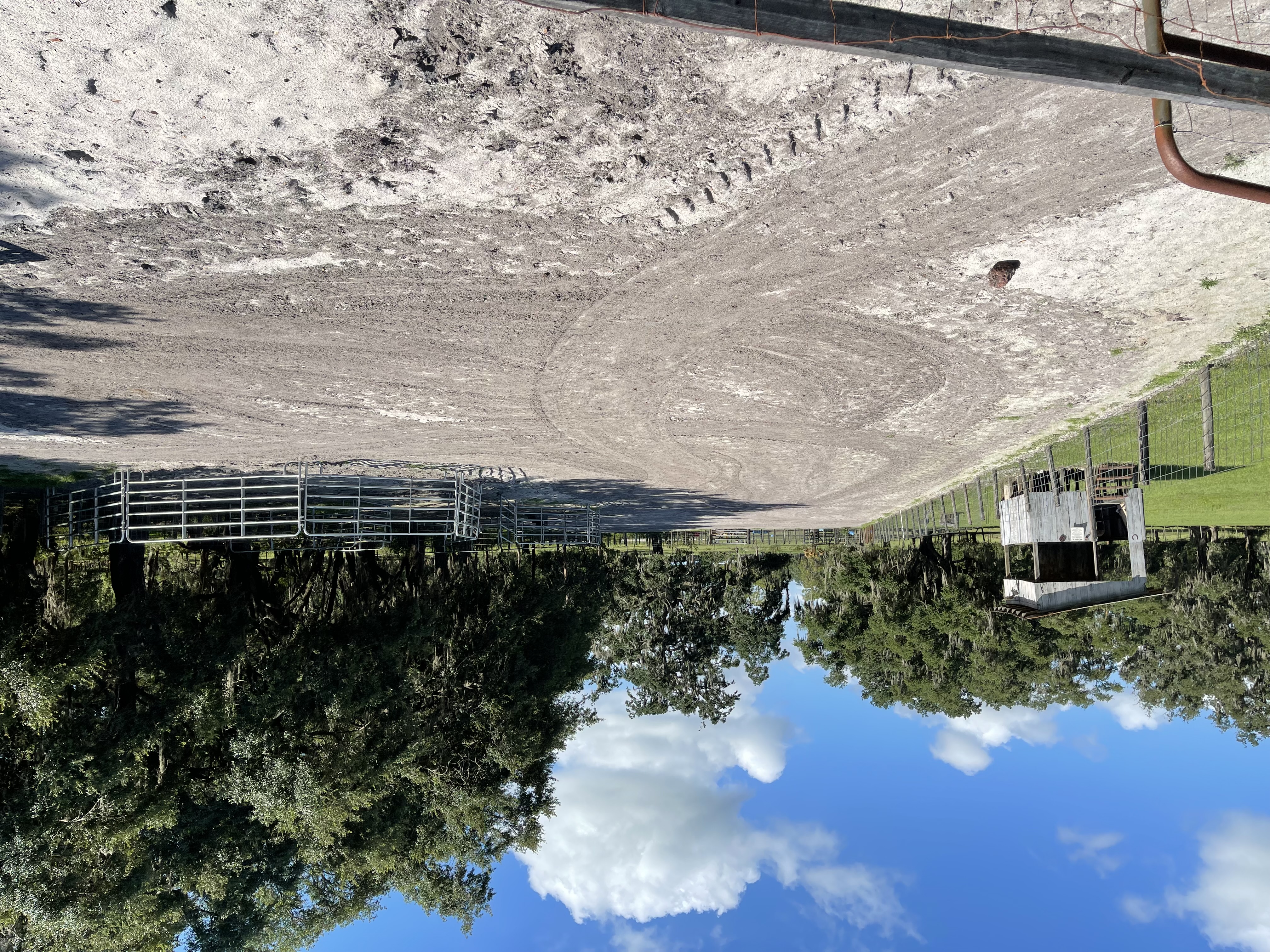 Our arena. Shown with a round pen set up.  We have two round pens.