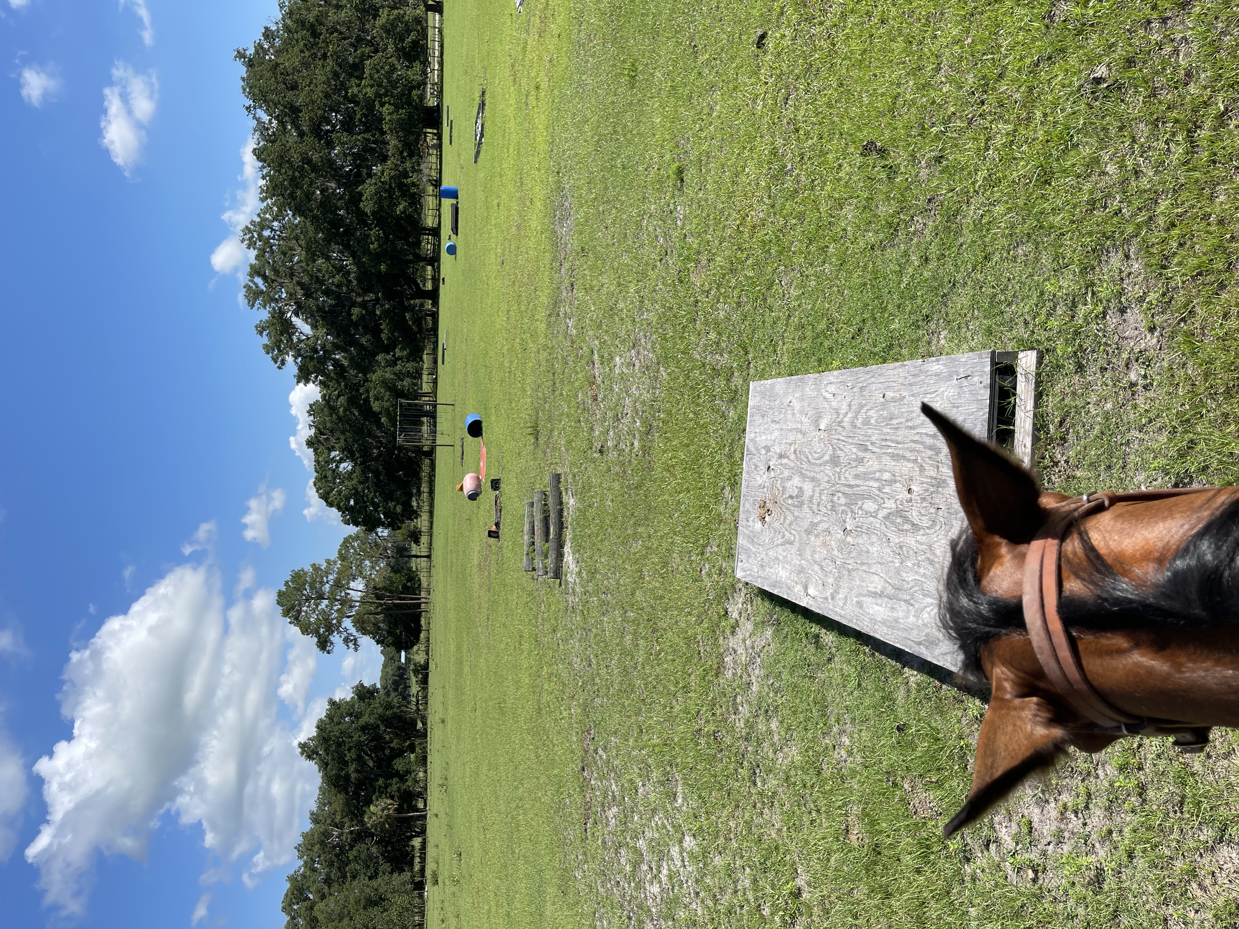 We have a small obstacle course and a few jumps.  Plus barrels at our arena.
