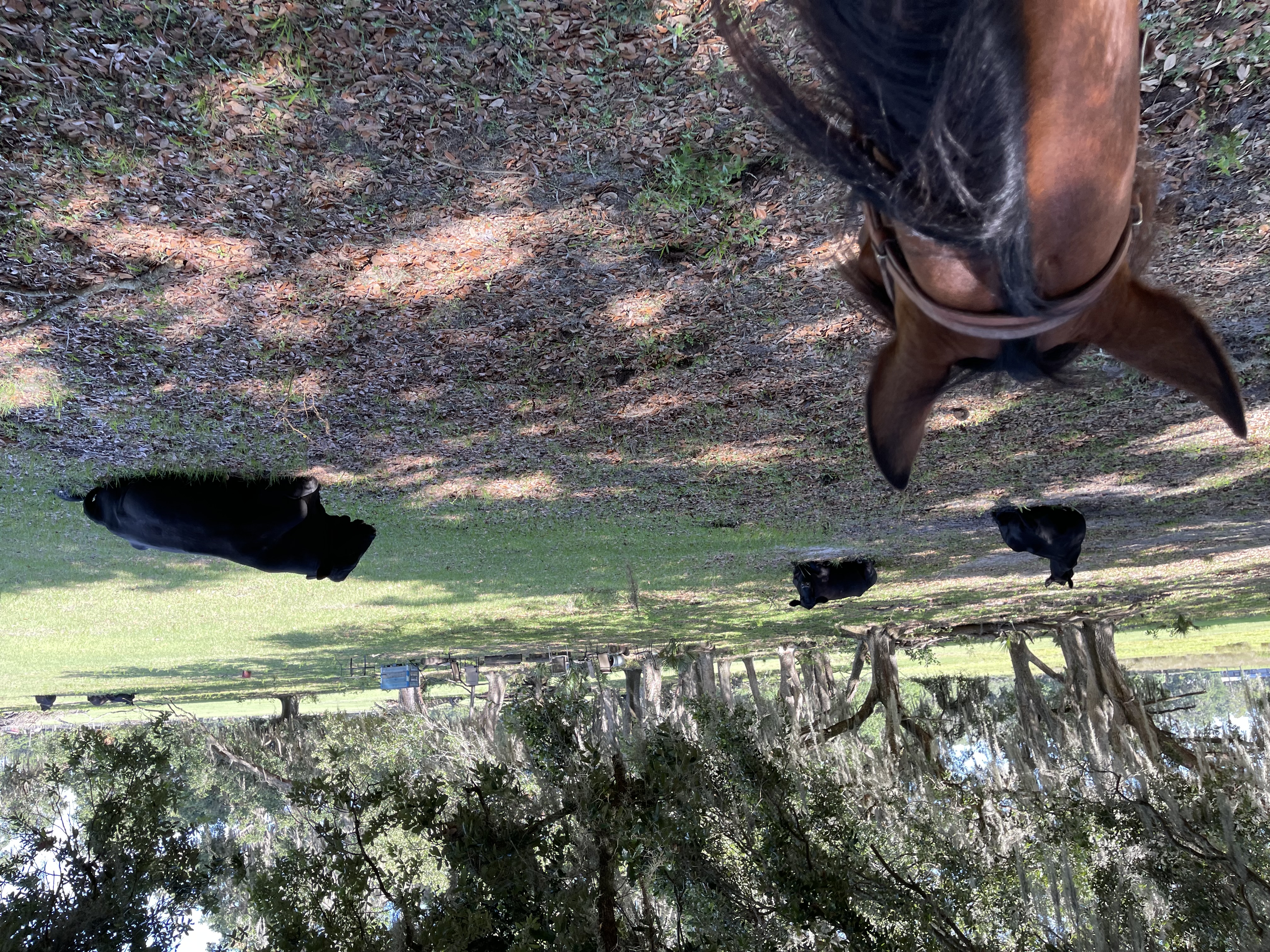 Plenty of room to ride.  Over 60 acres.