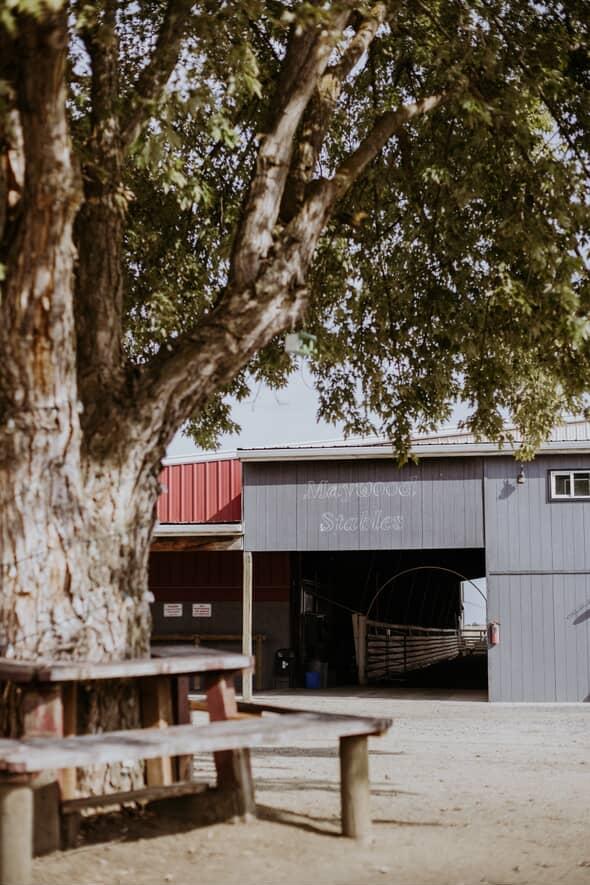 Barn entrance
