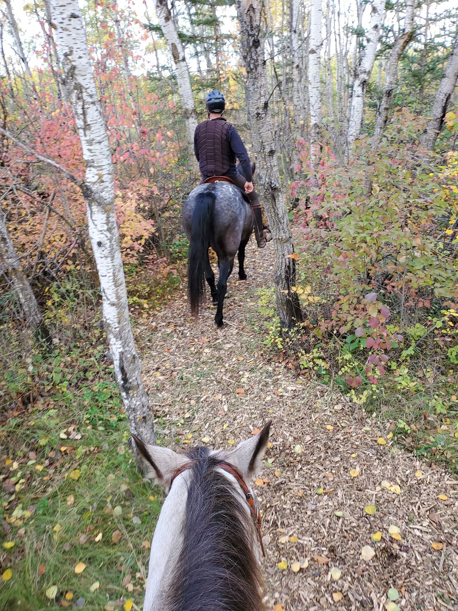PWR private trails on property