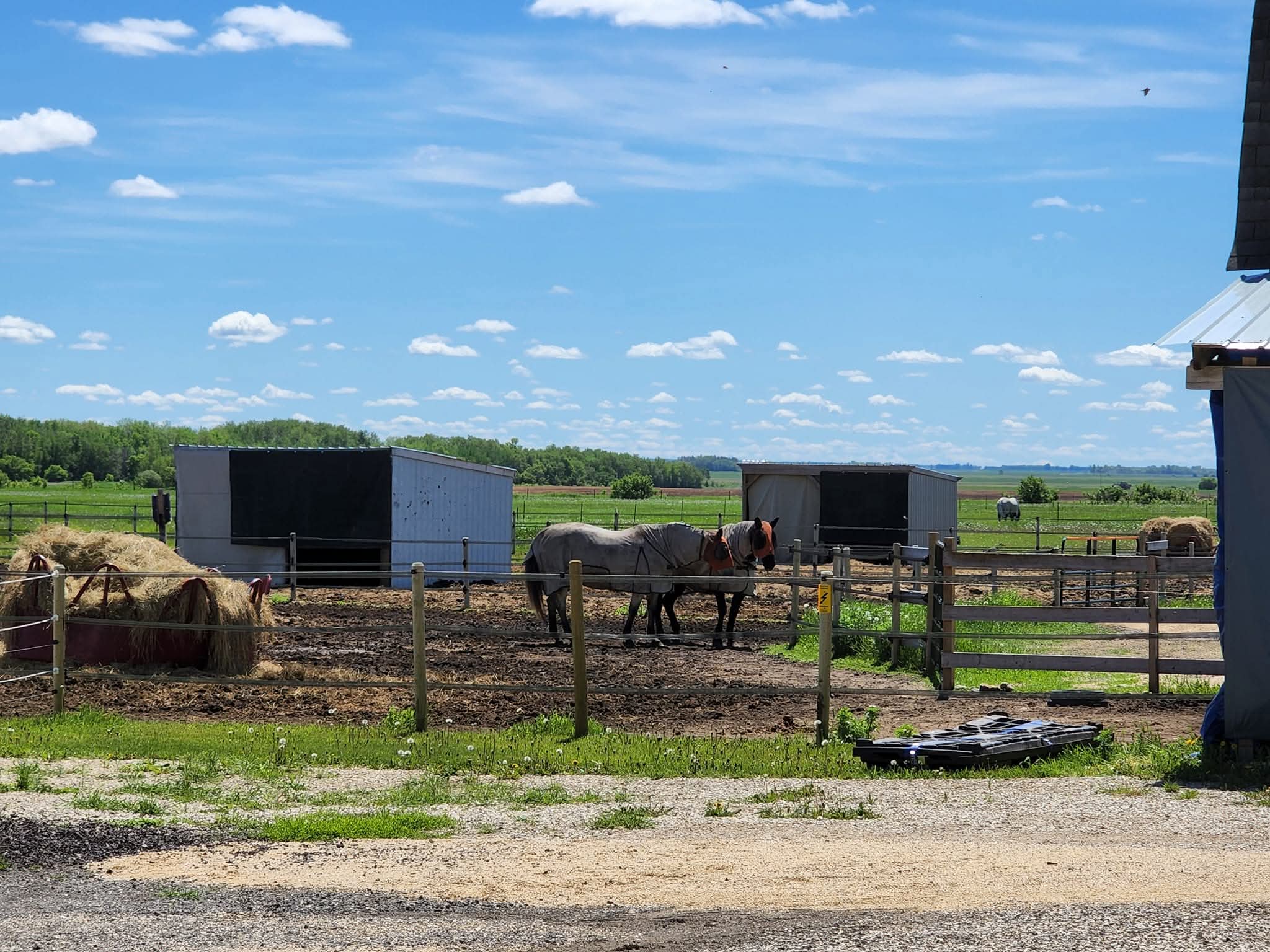 PWR shelters 16x16