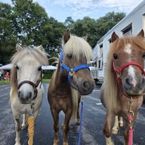 Luke, Cracker Jack, Binnie