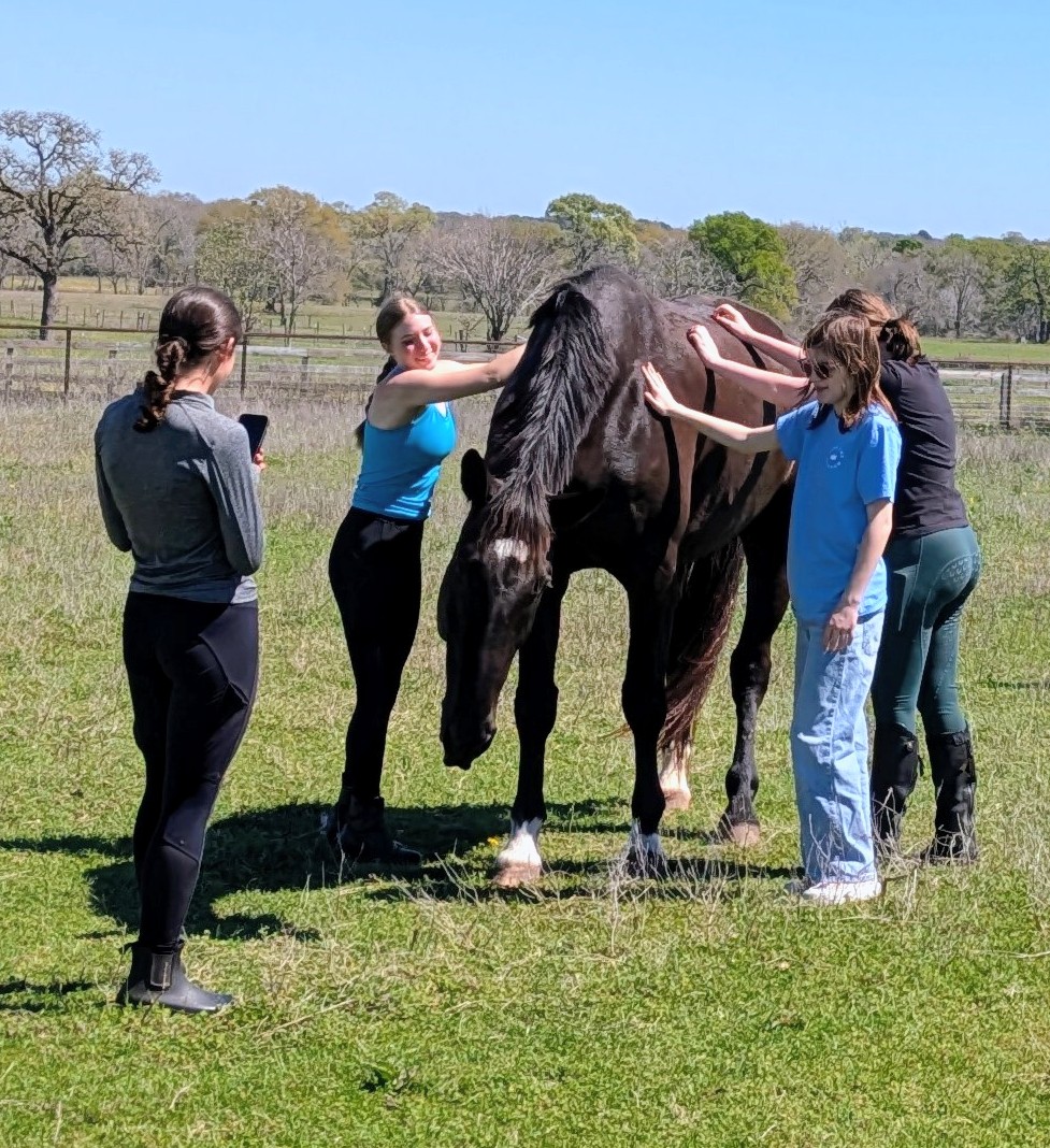 Slow Twist Equestrian Center