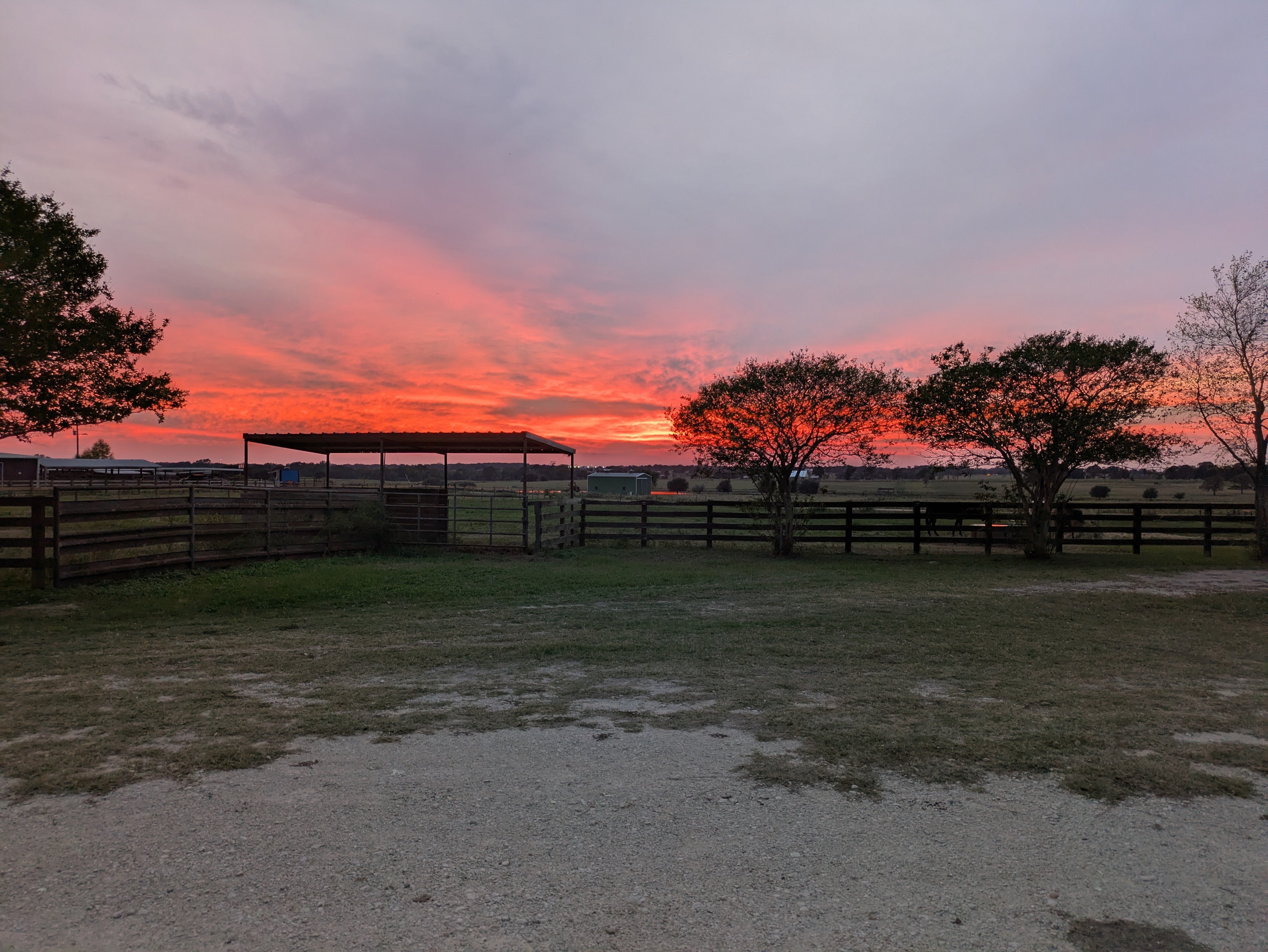 Pasture