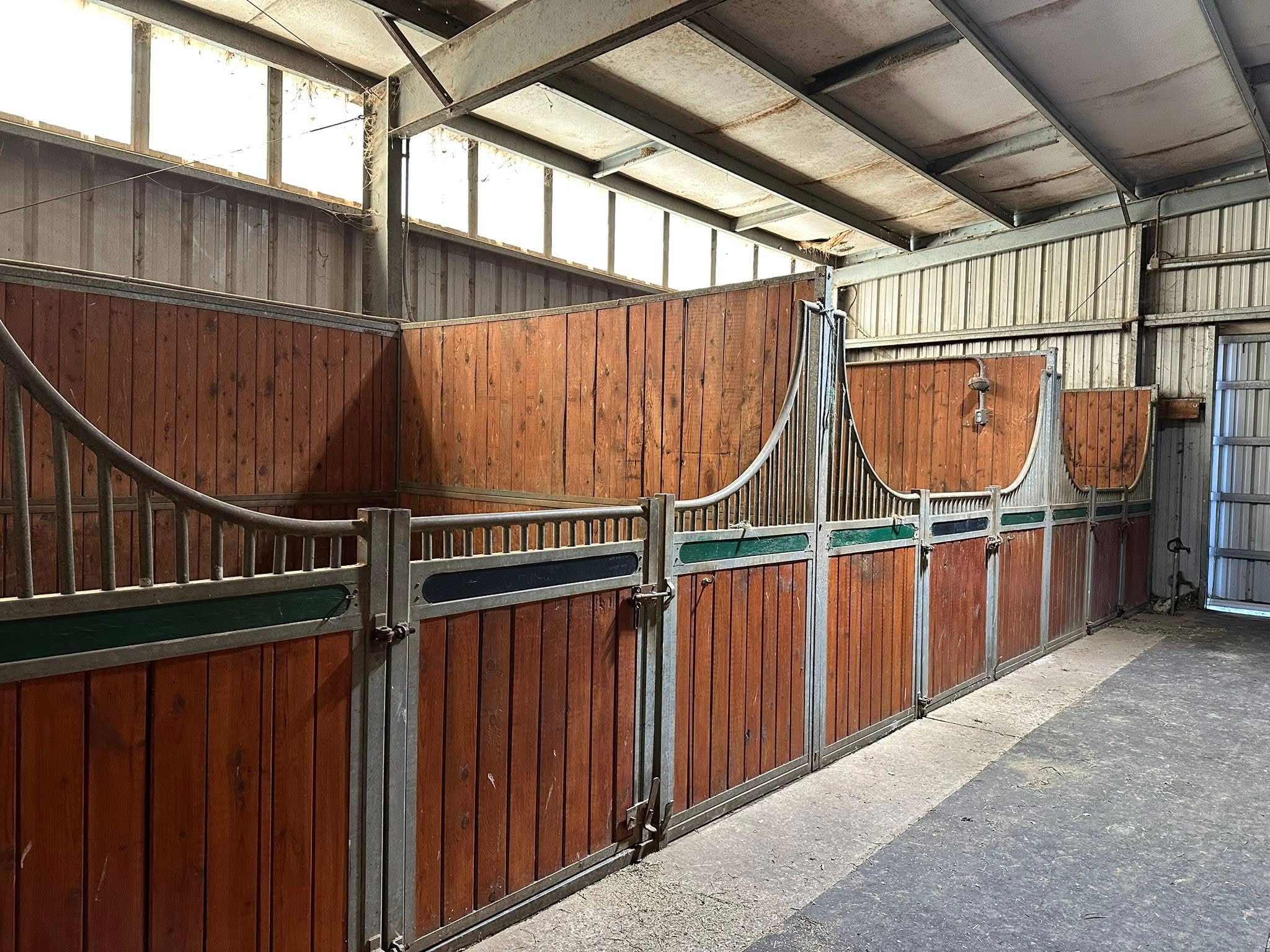 European Stalls
