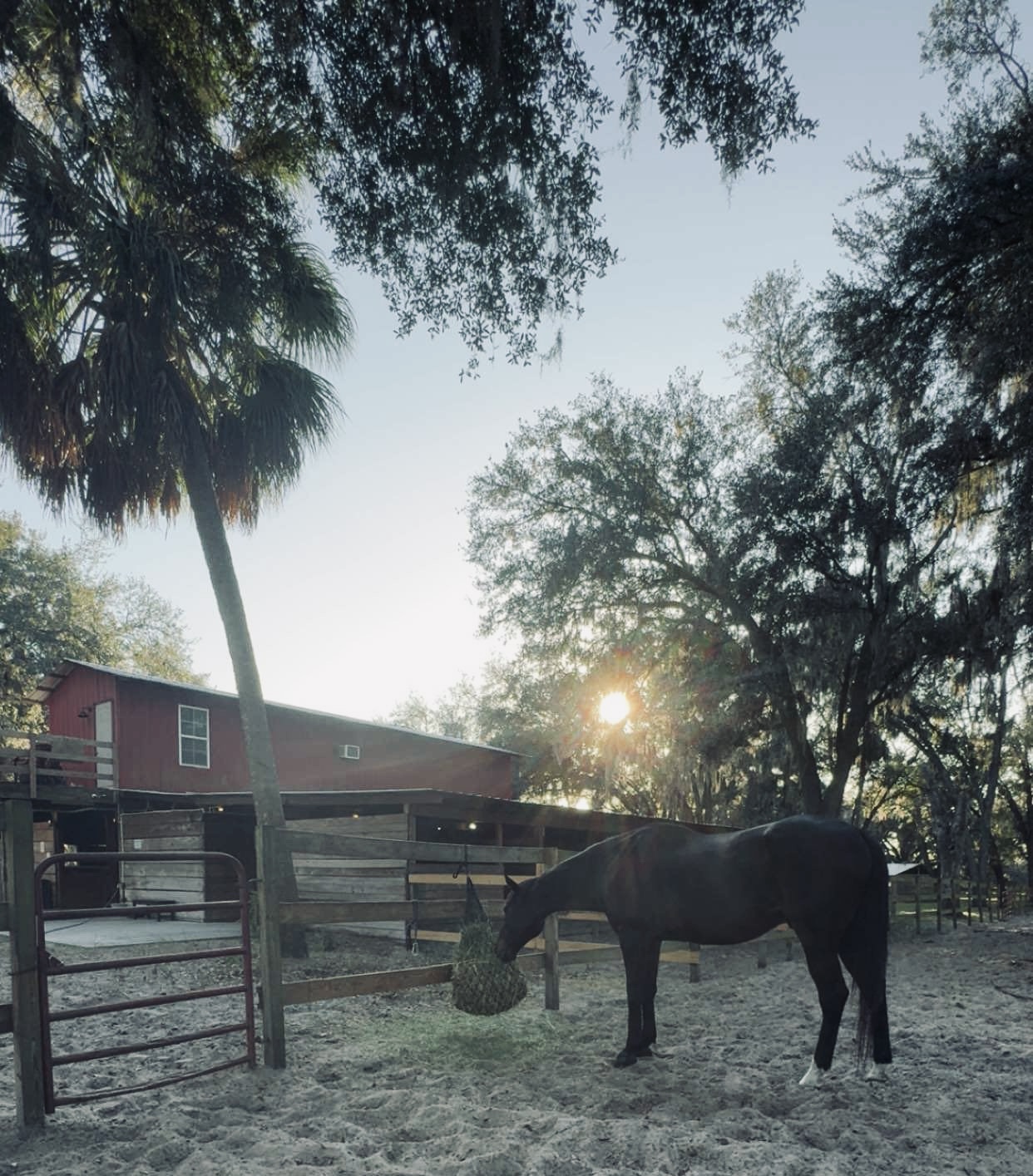 Pasture 1