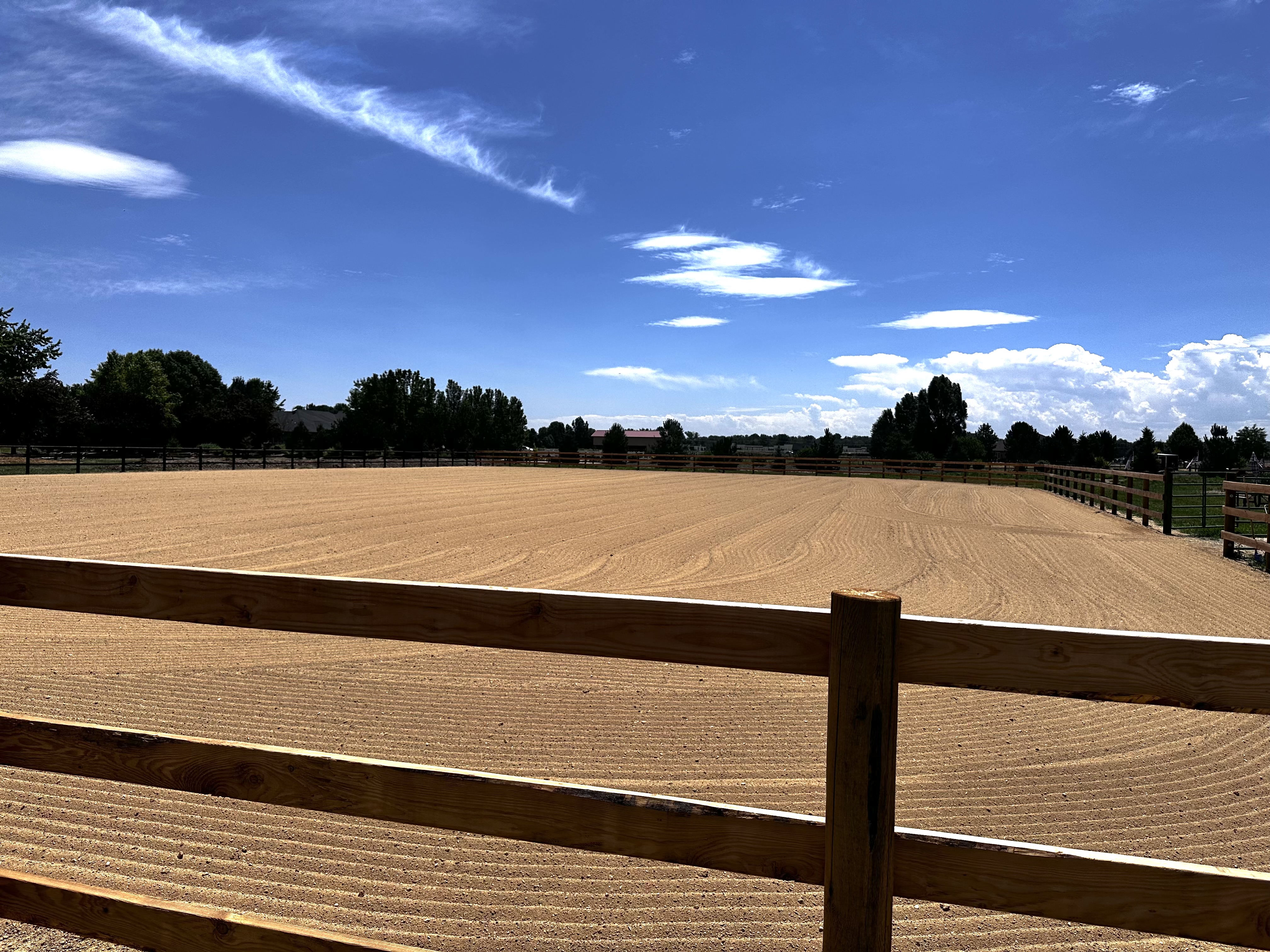 Arena