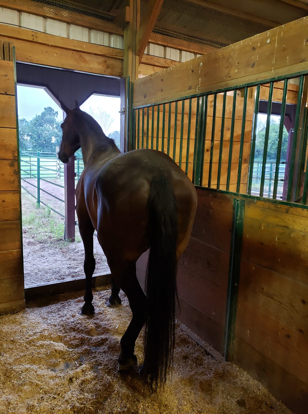 Stall