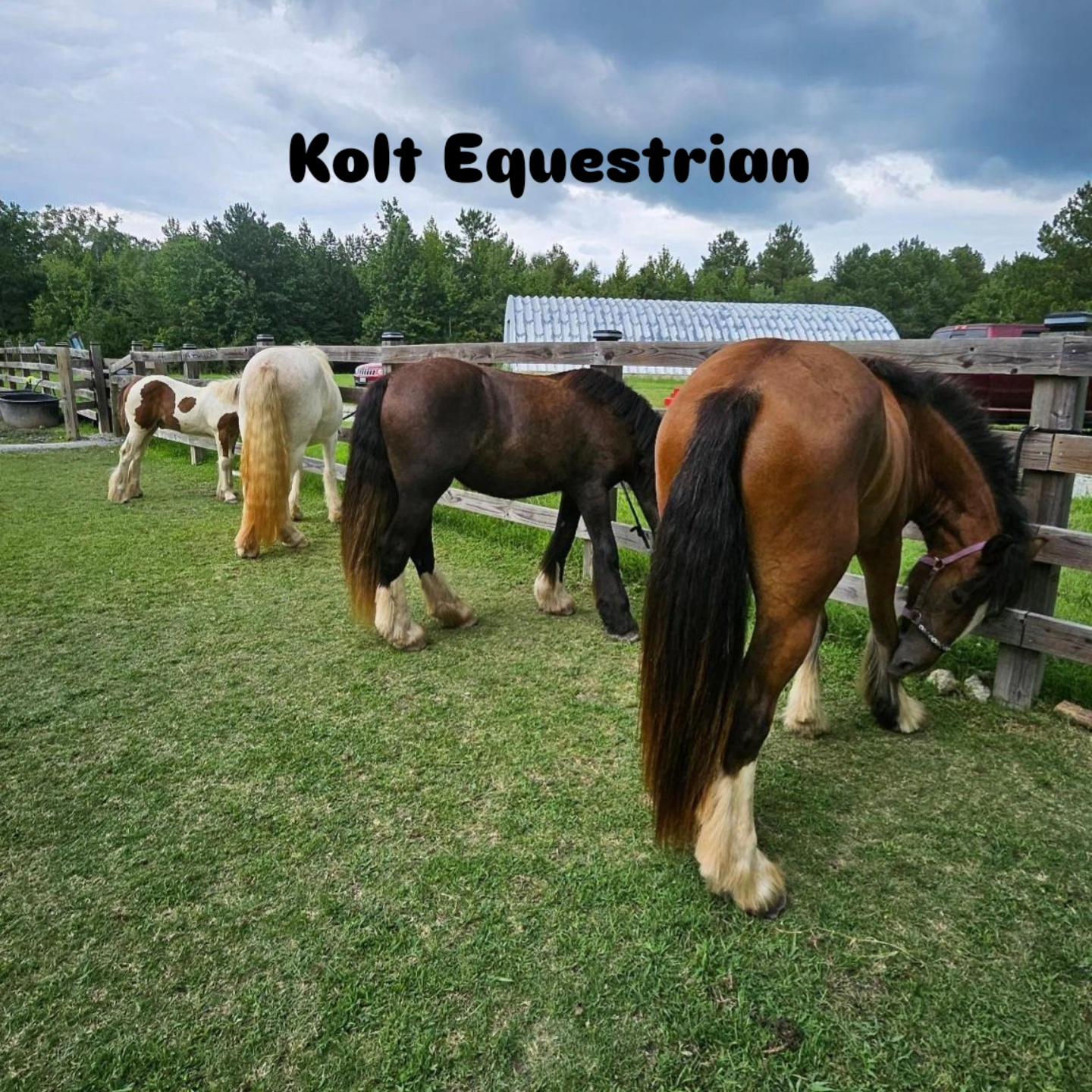 Kolt Equestrian Horse Boarding Lesson RV Hookup Farm Gypsy Vanner 1