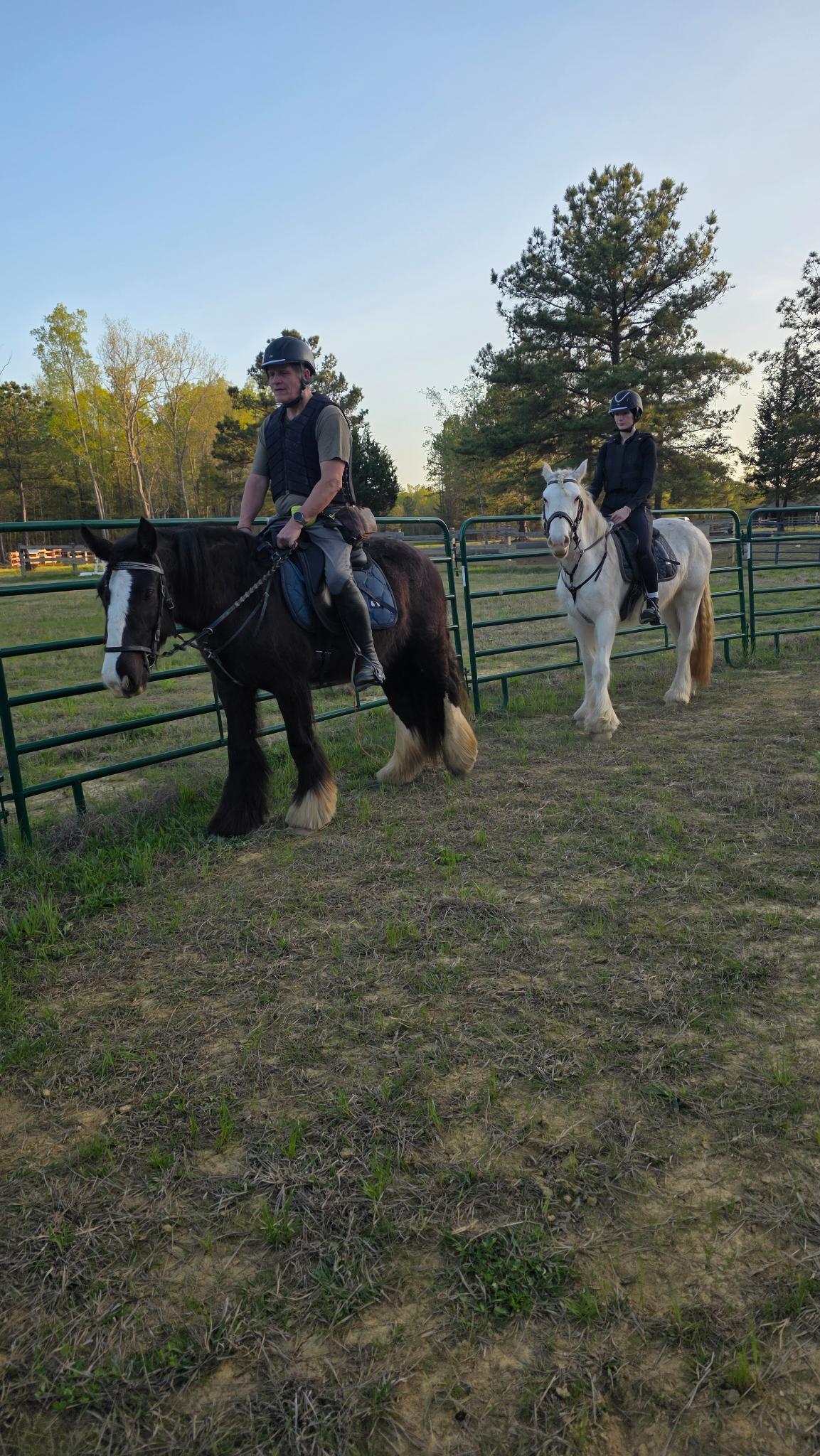 Kolt Equestrian Horse Boarding Lesson RV Hookup Farm Gypsy Vanner 2