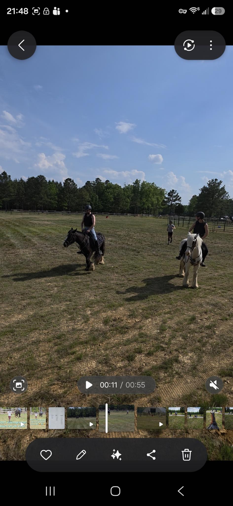Kolt Equestrian Horse Boarding Lesson RV Hookup Farm Gypsy Vanner 6