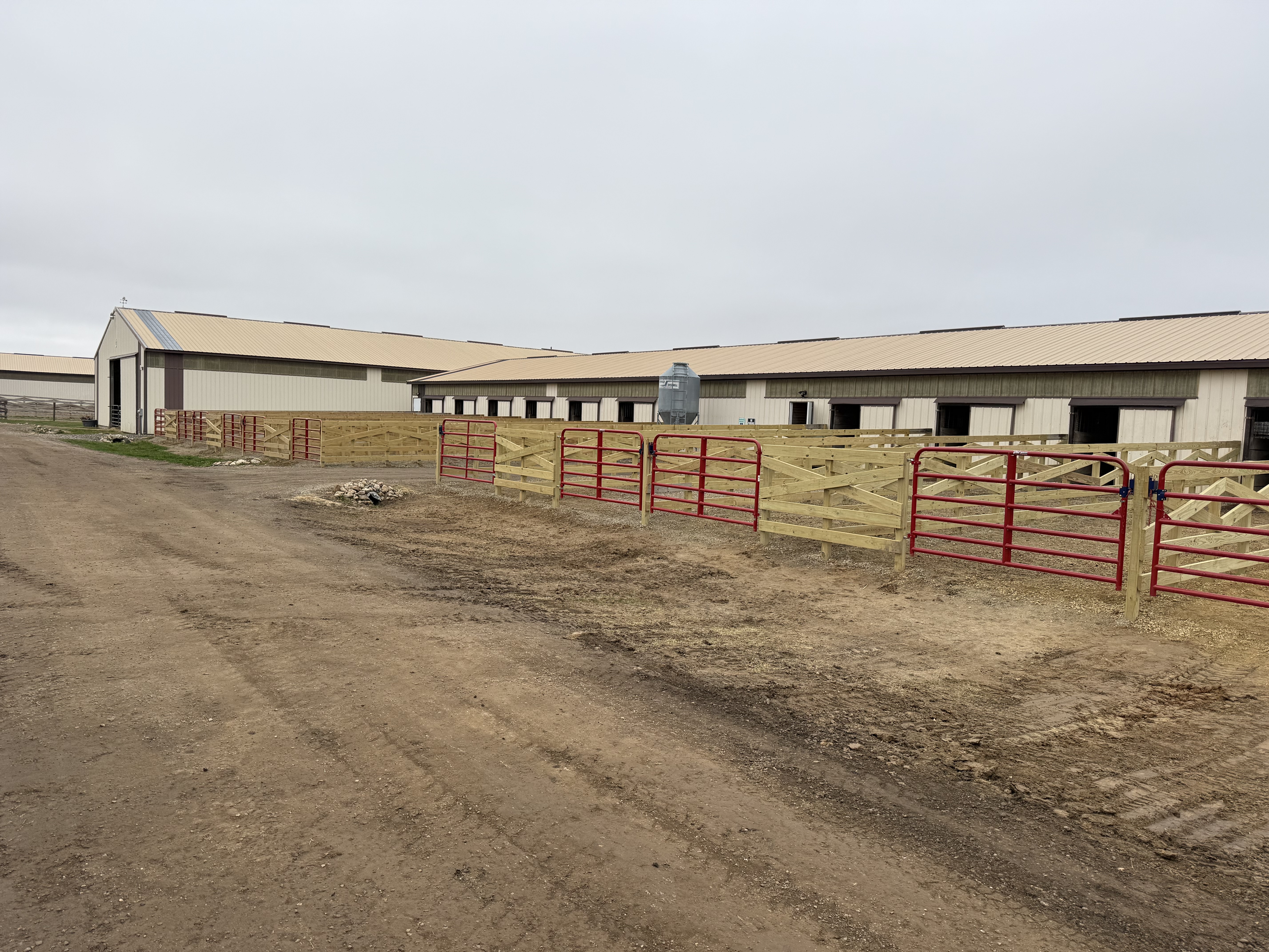 Brand new paddocks attached to each stall on the show barn.