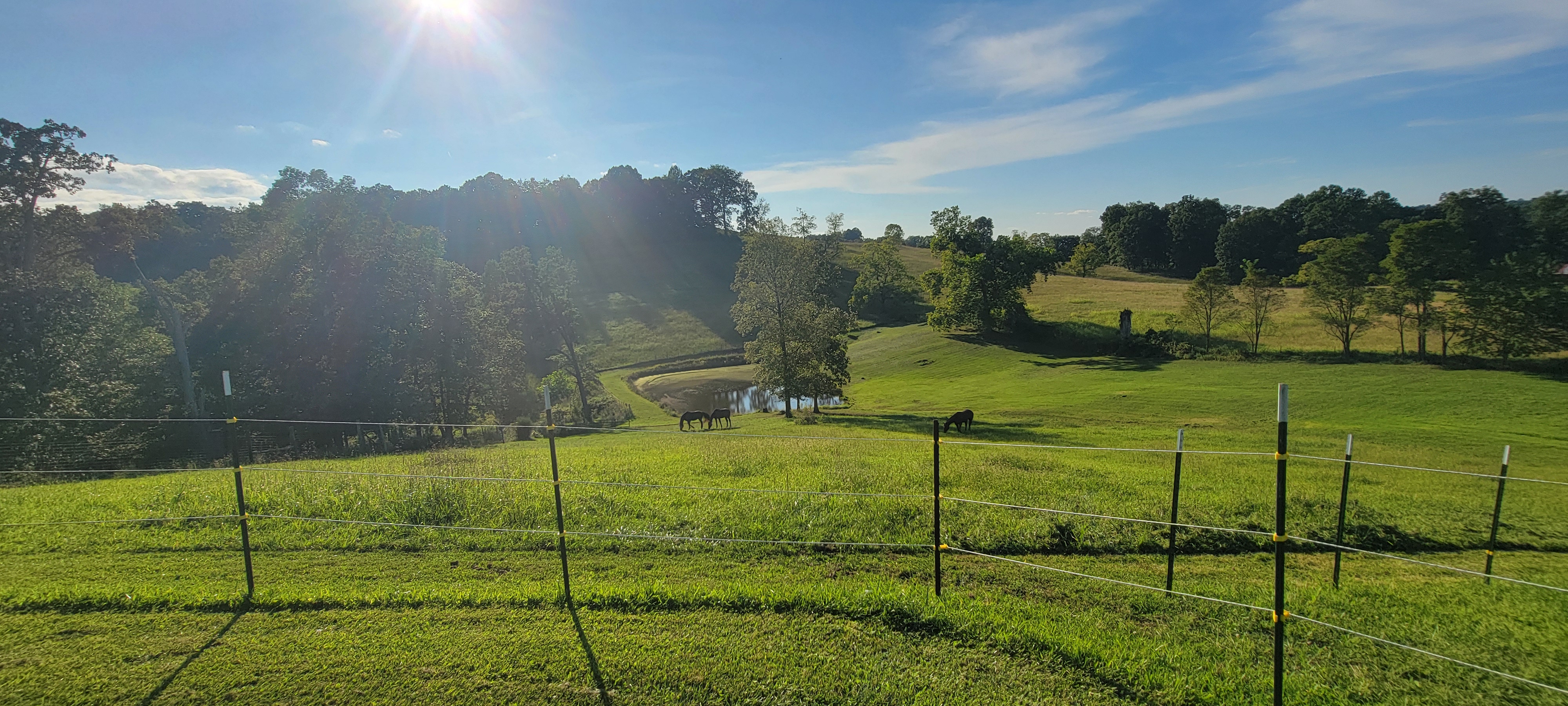 Main pasture