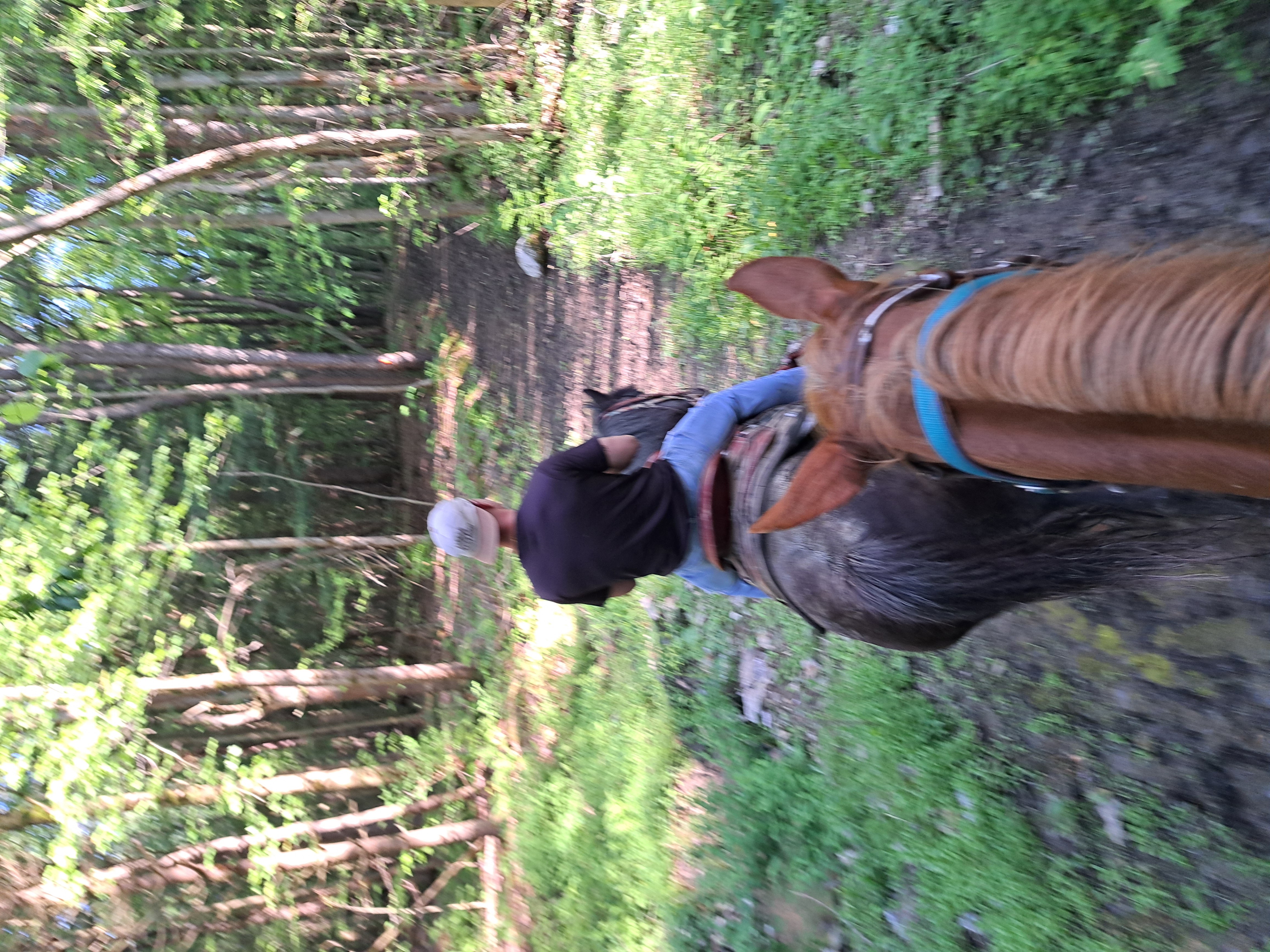 Trails