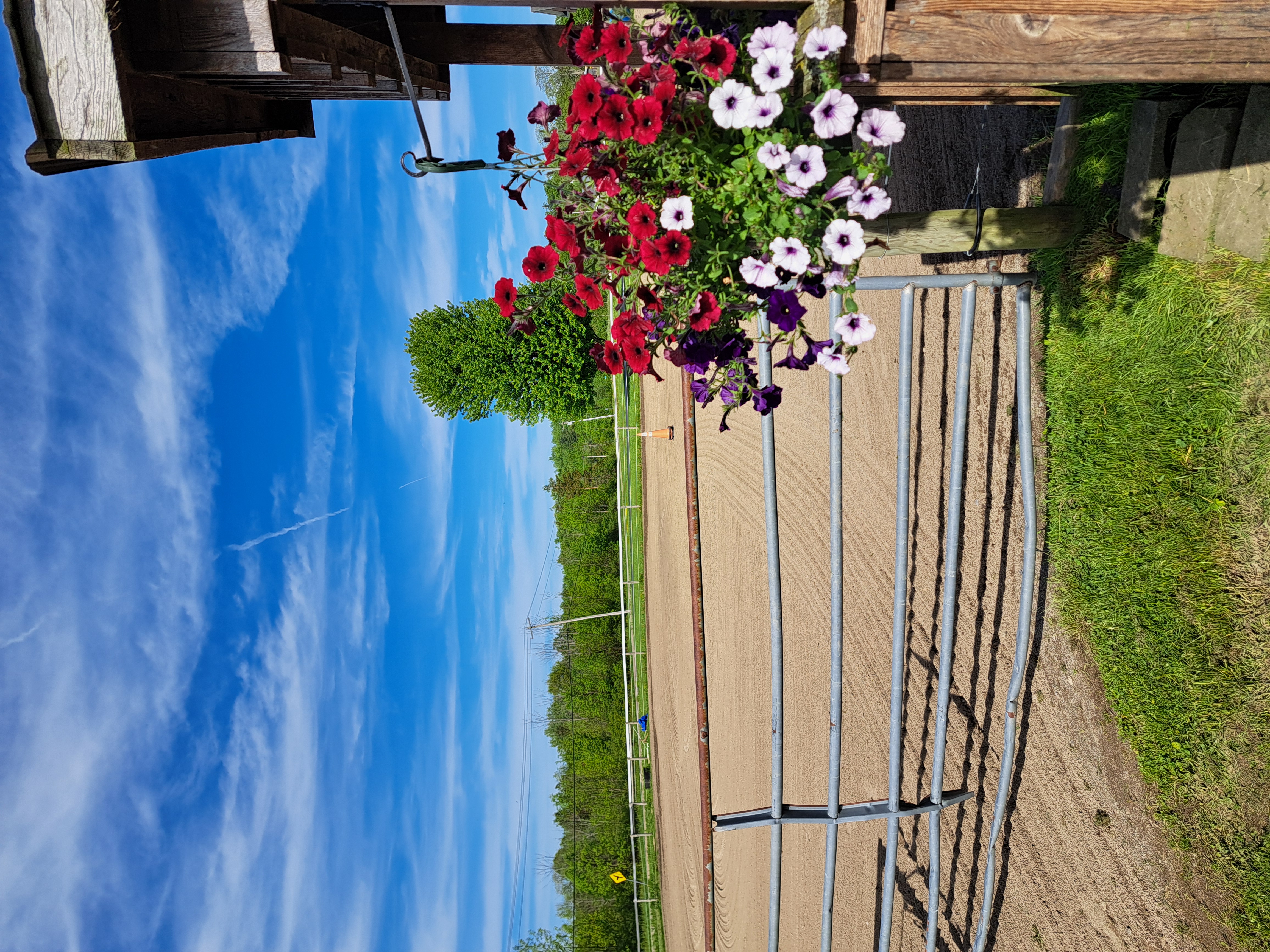 Farm