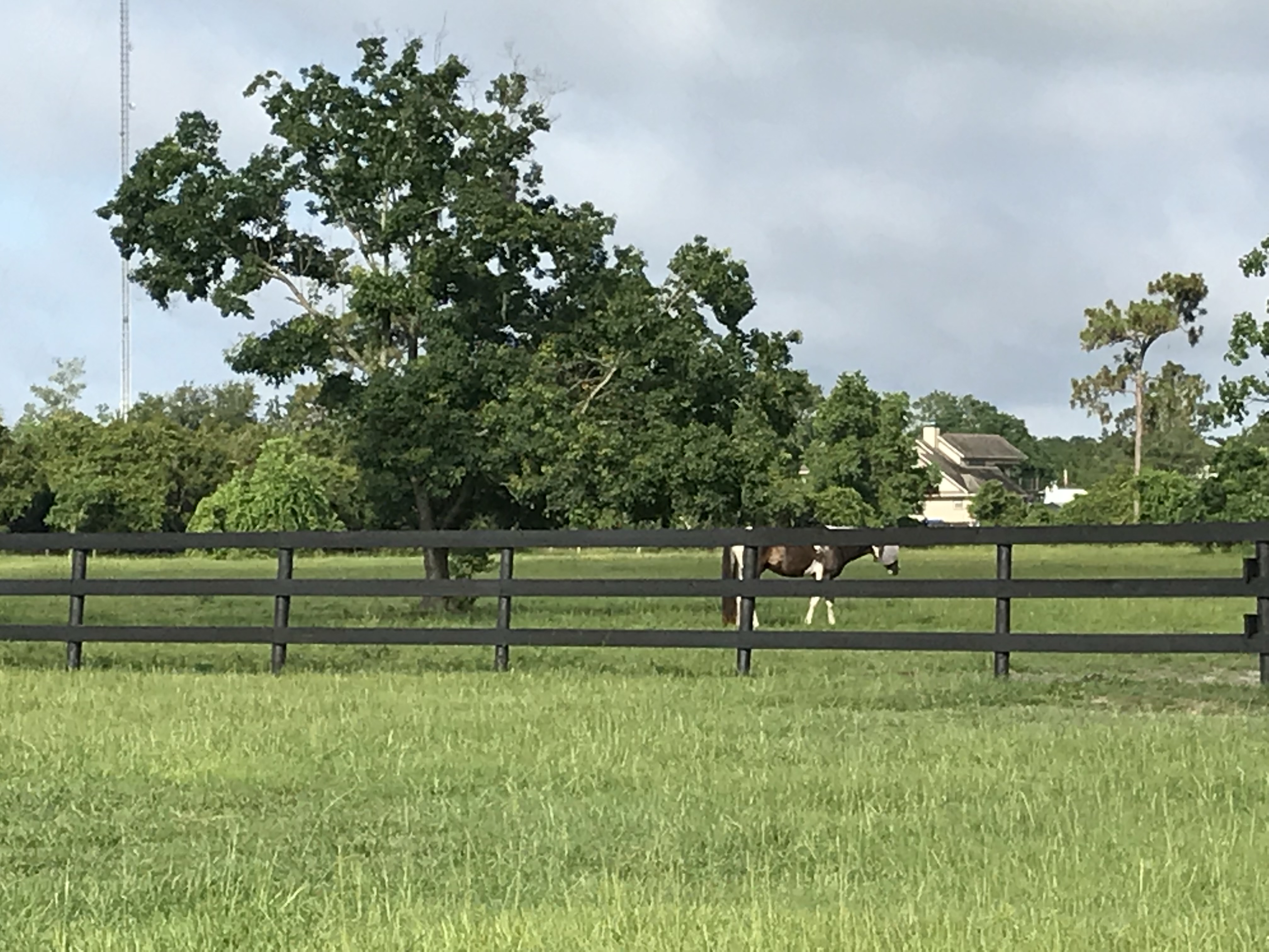 40 acre facility - 30 acres of maintained grass pastures .