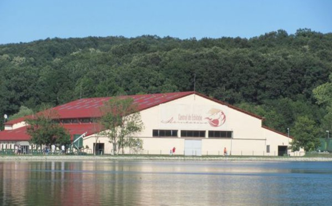 Panoramic