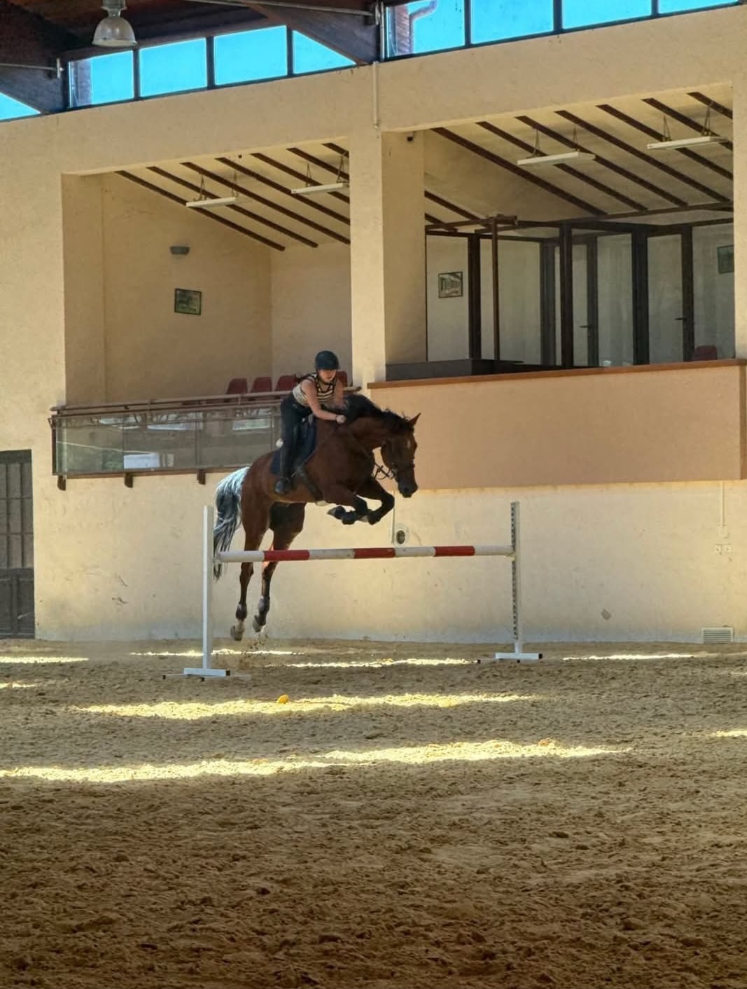 Sport