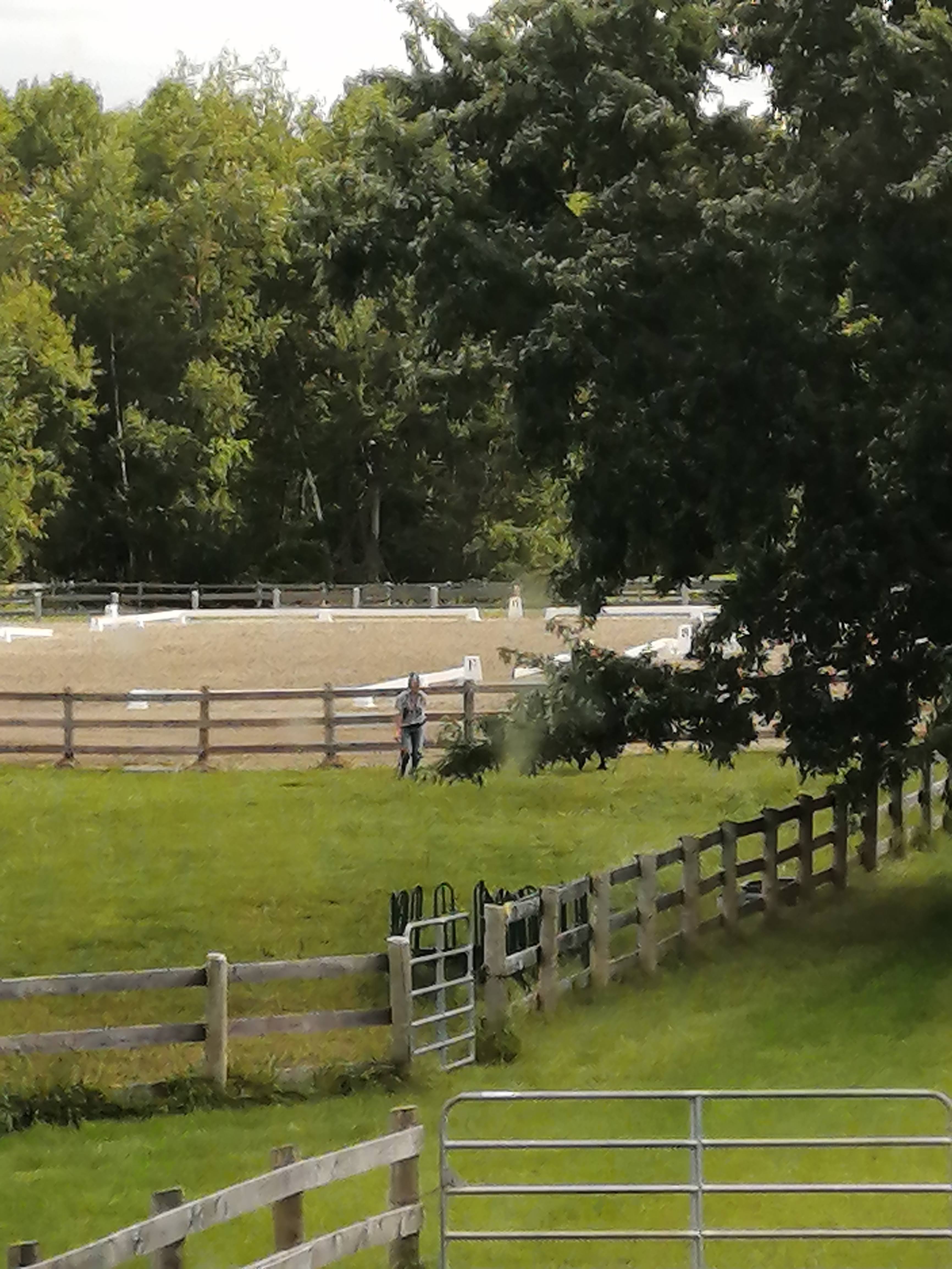 Grass paddocks