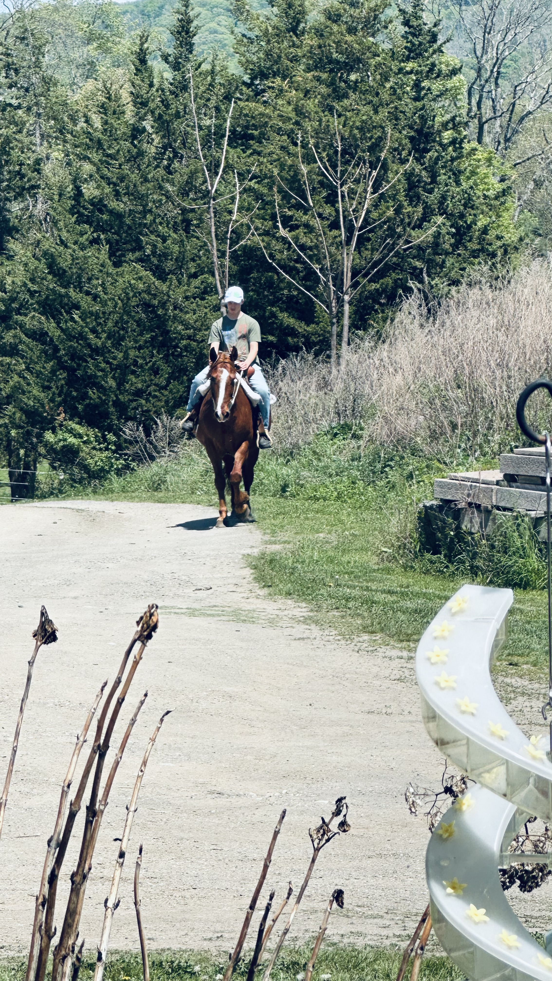 Saddle time!