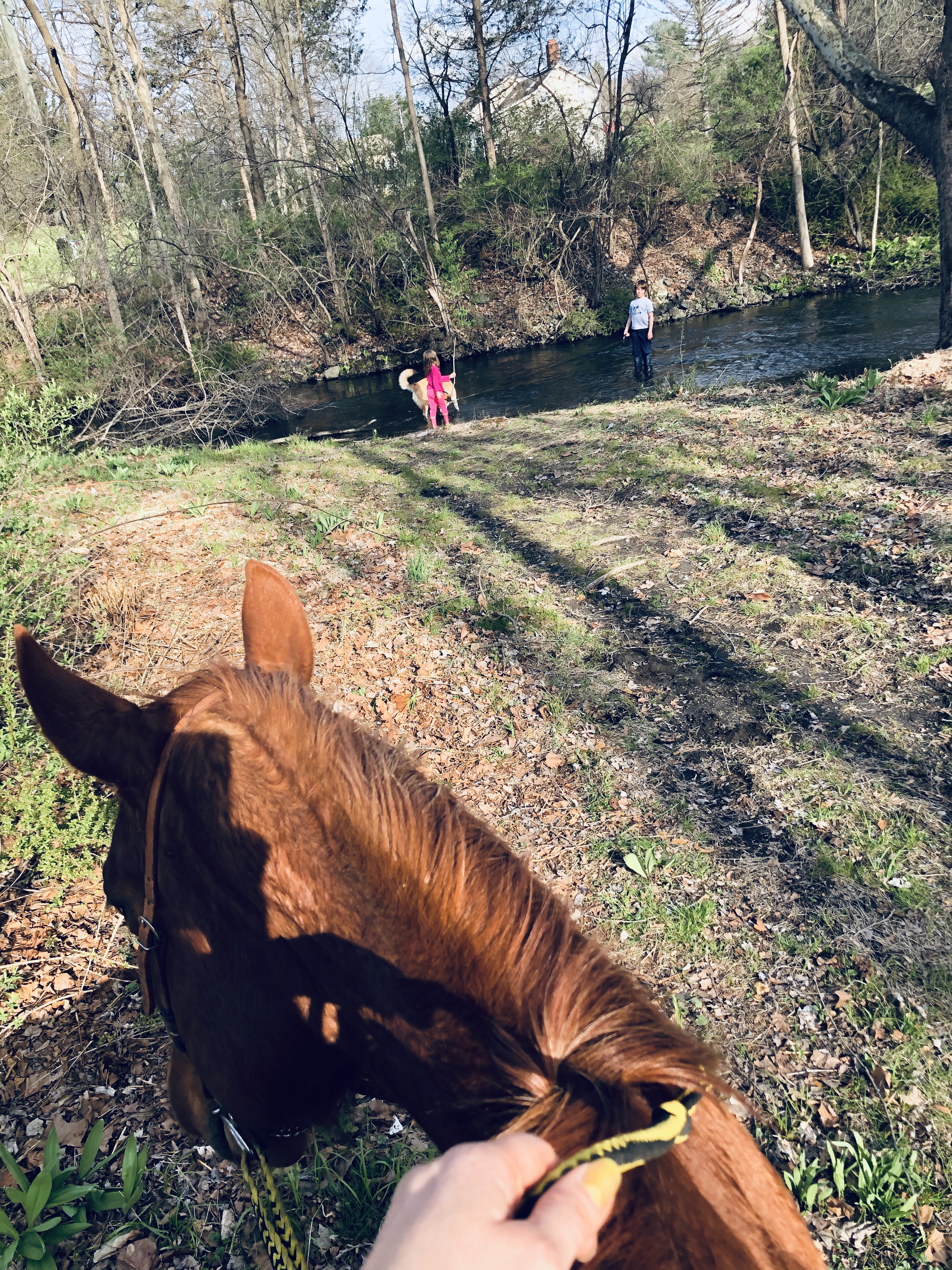 Trails and the creek