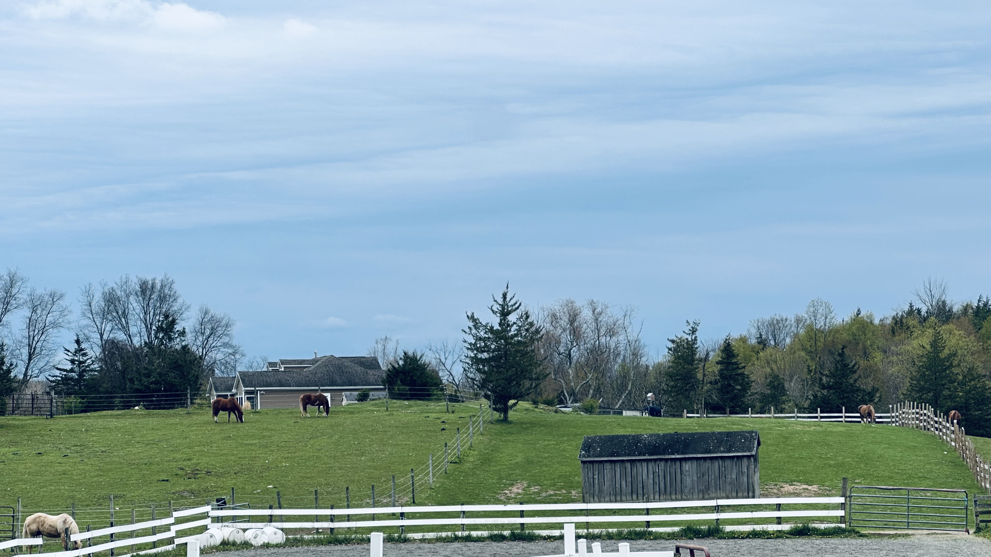 Spacious fields