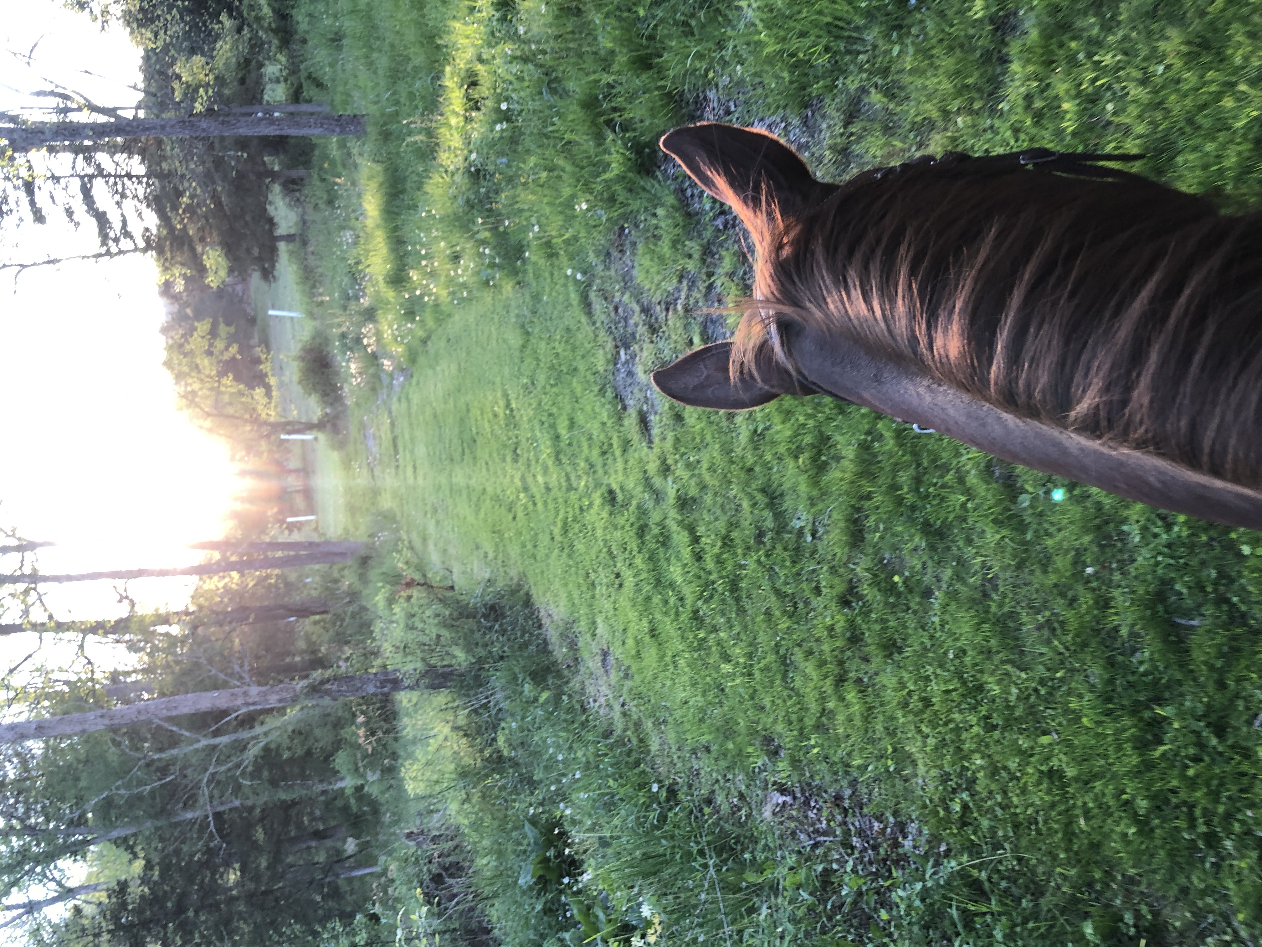 Trails