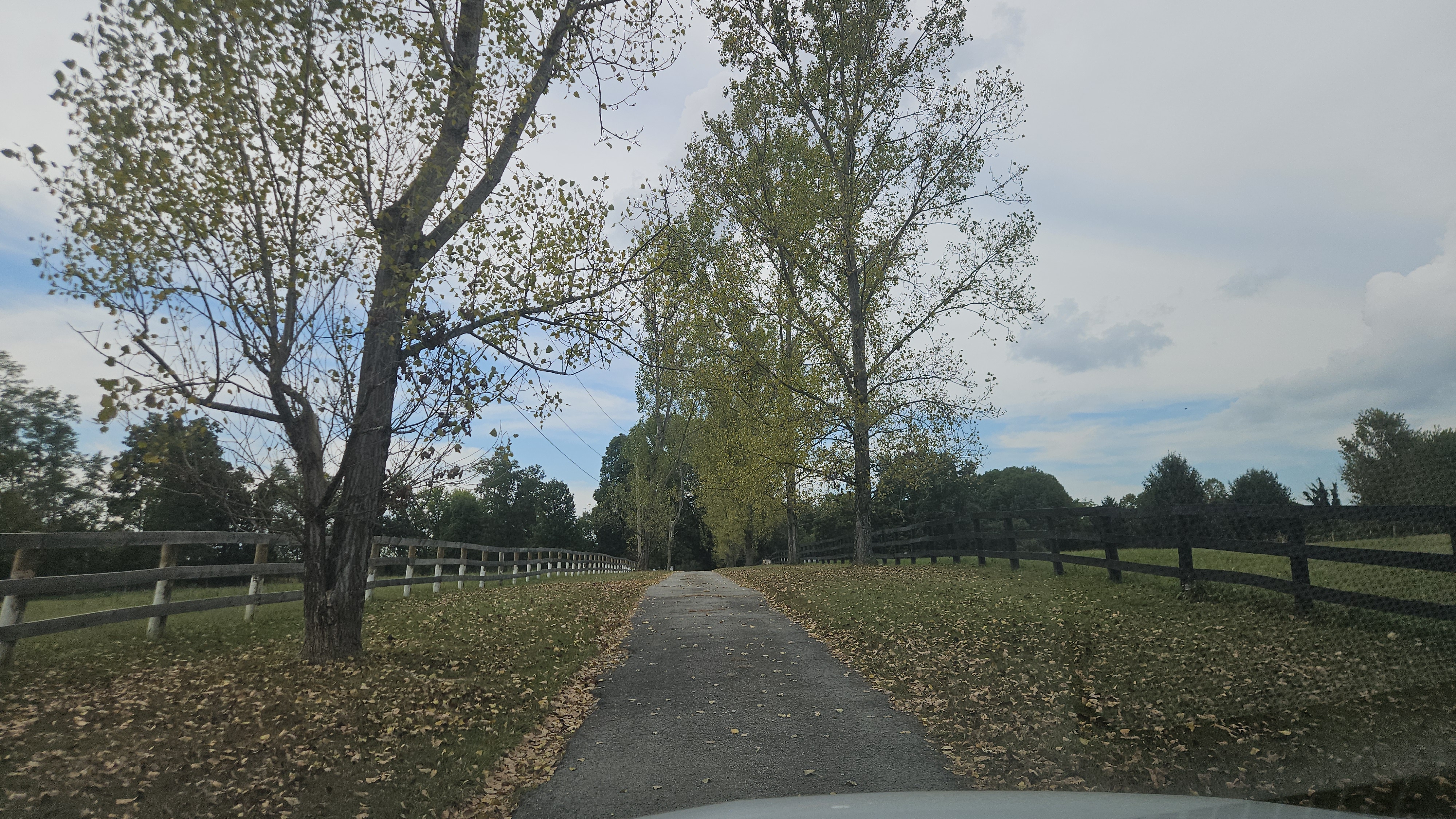 Driveway