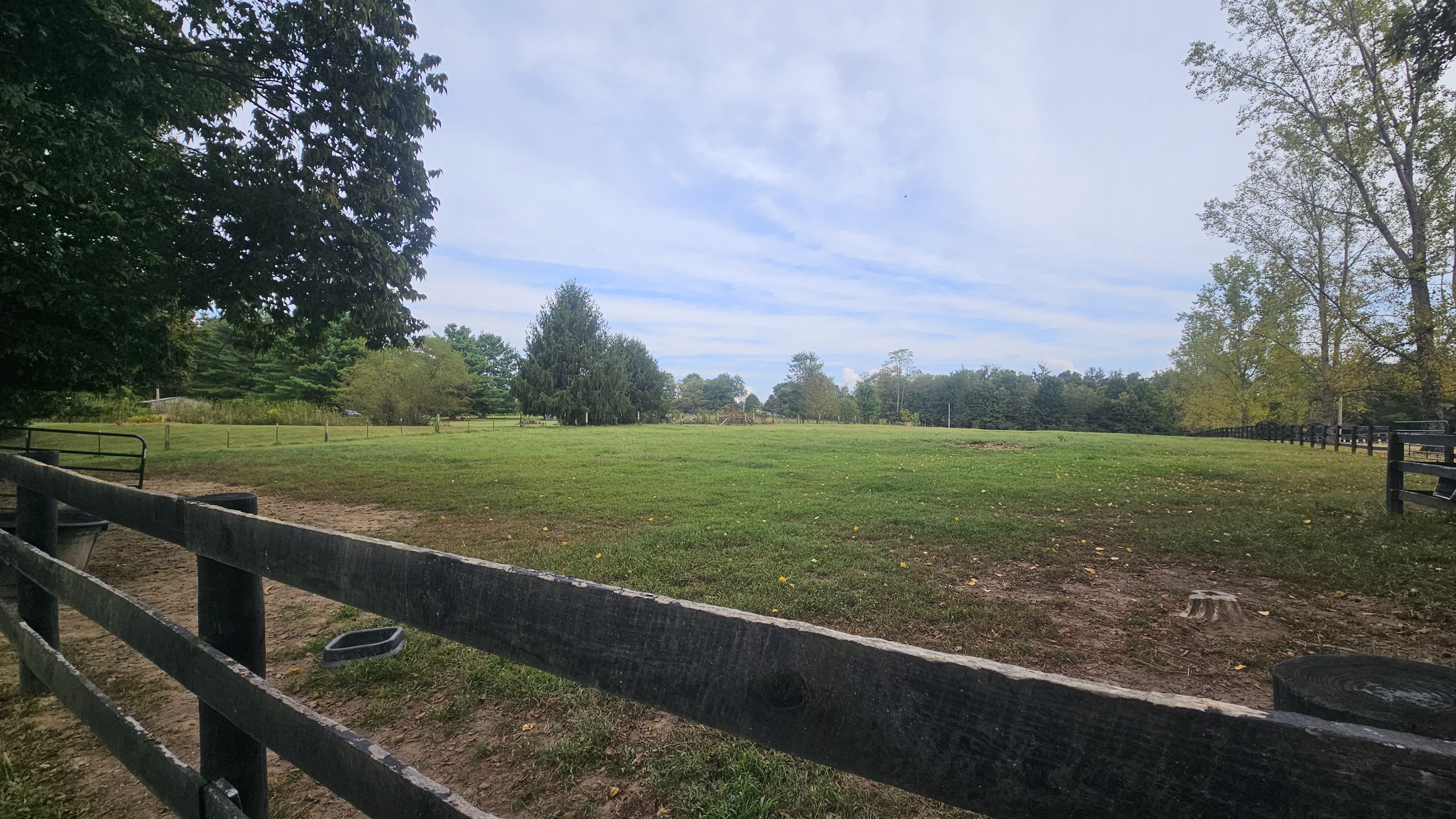 Pasture